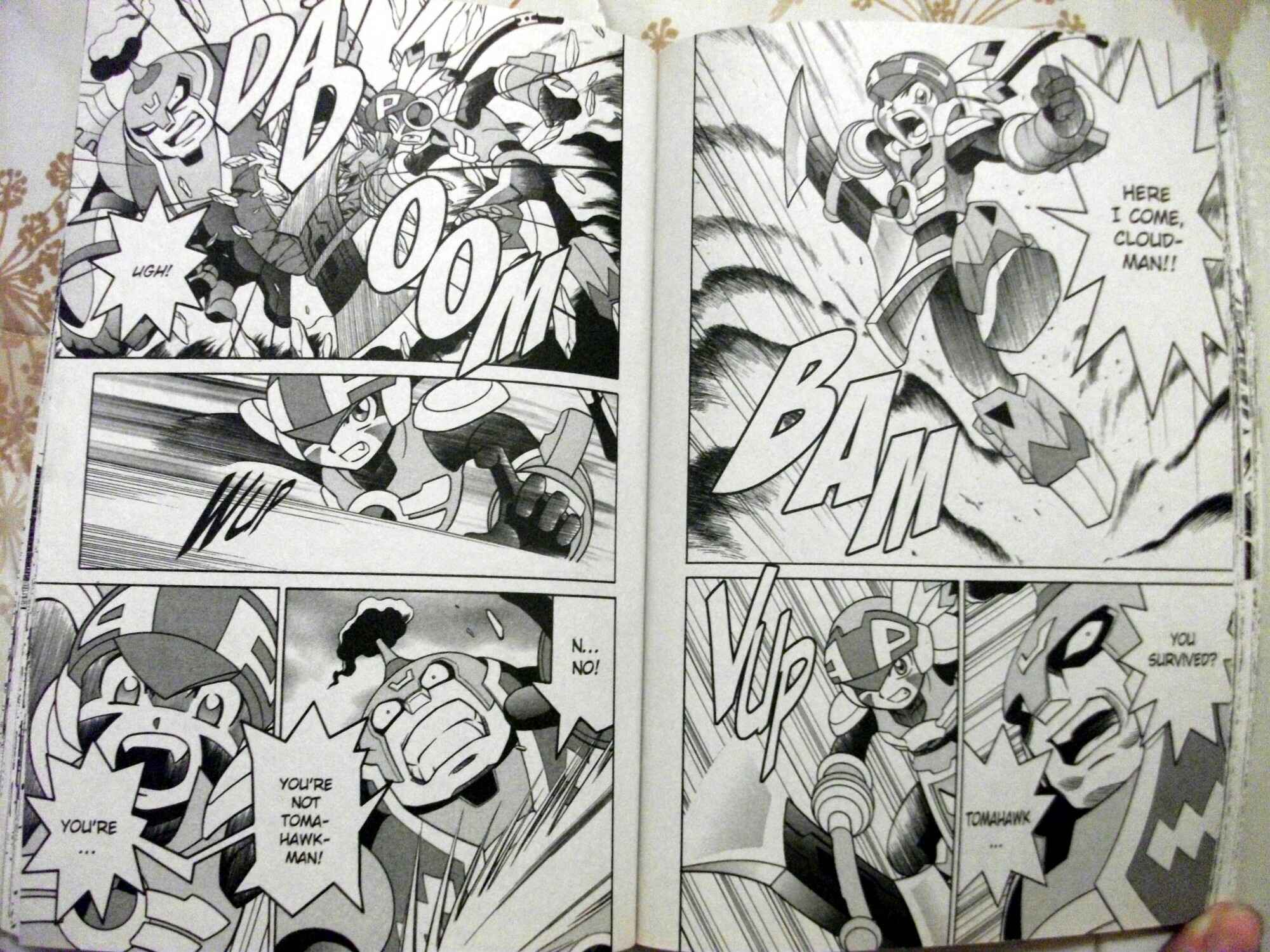 Page 13 Chapter 51 Mega Man Battle Network