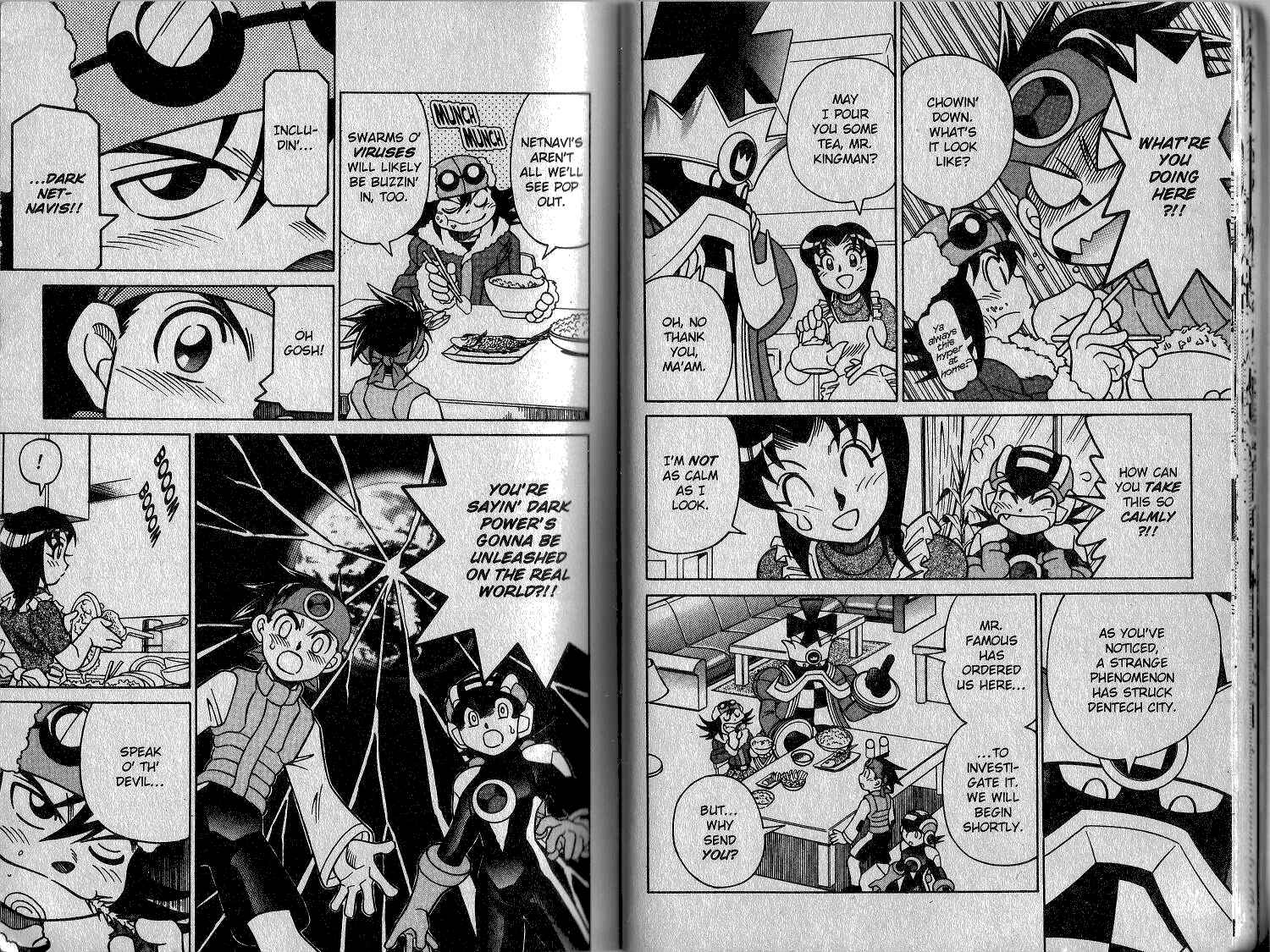 Page 14 Chapter 28 Mega Man Battle Network