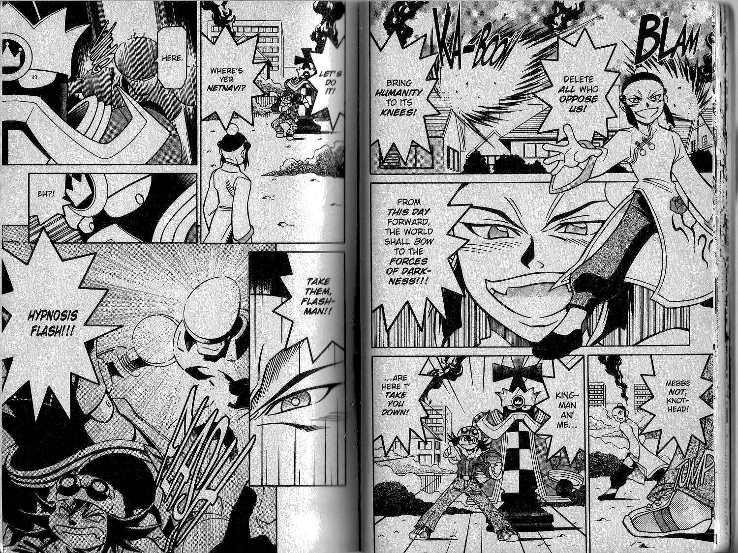 Page 15 Chapter 28 Mega Man Battle Network