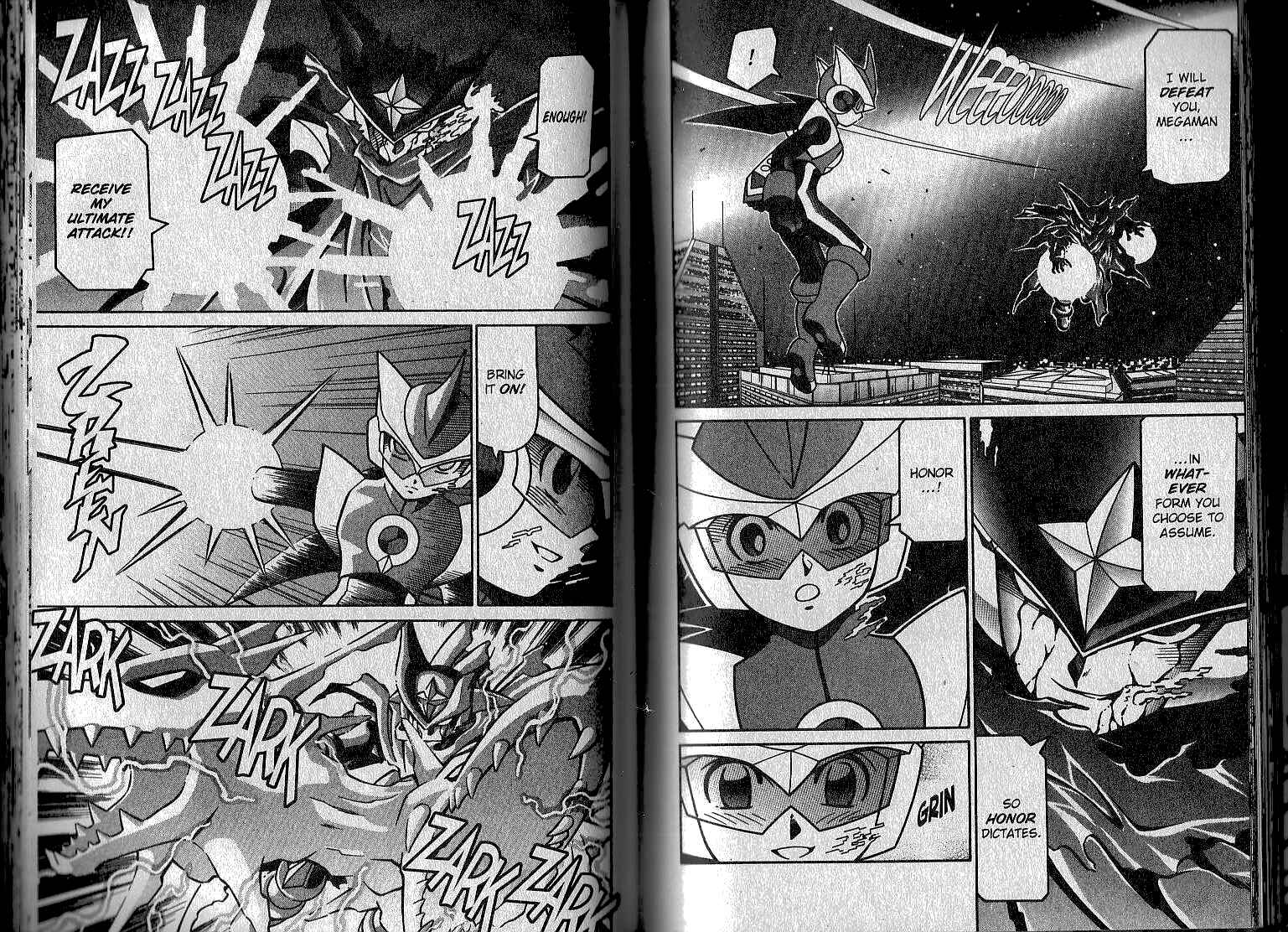 Page 14 Chapter 36 Mega Man Battle Network