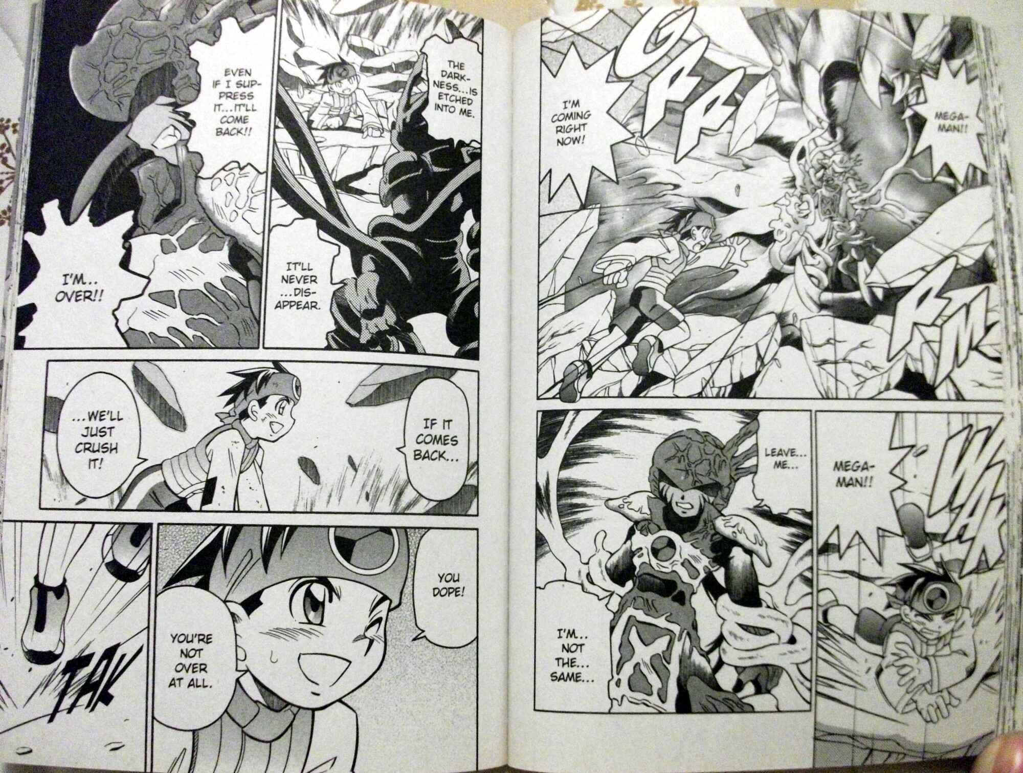 Page 13 Chapter 54 Mega Man Battle Network