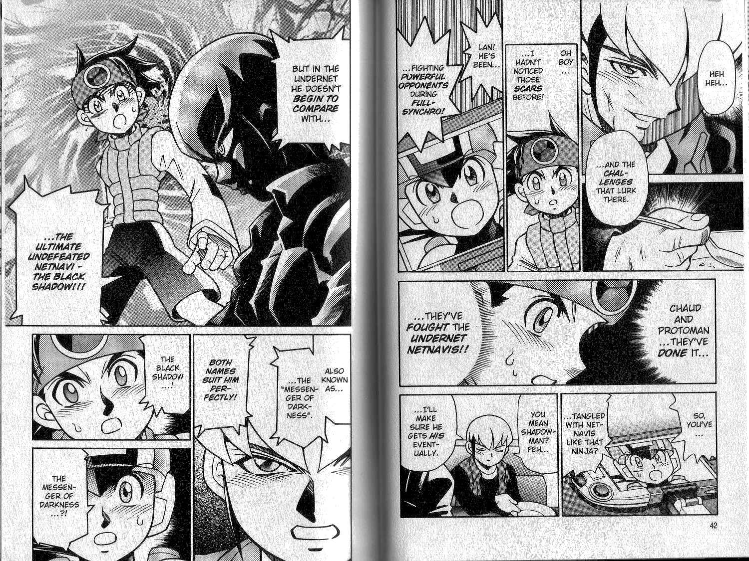 Page 5 Chapter 13 Mega Man Battle Network