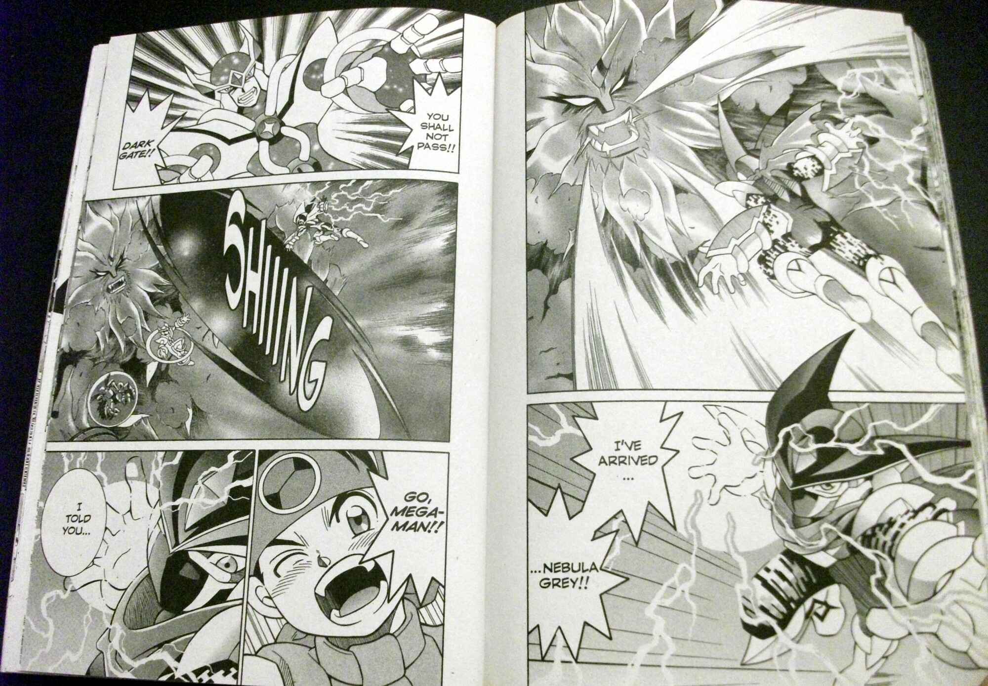 Page 15 Chapter 58 Mega Man Battle Network