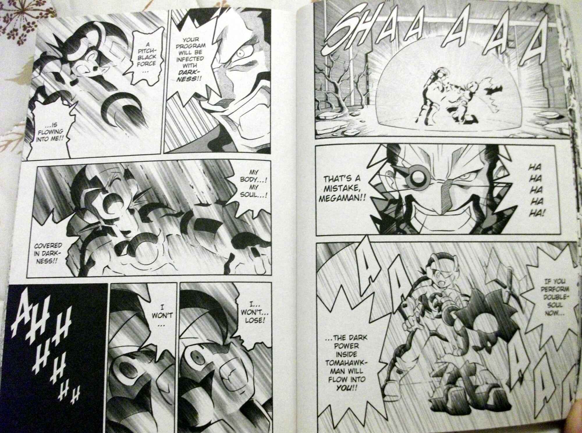 Page 13 Chapter 53 Mega Man Battle Network
