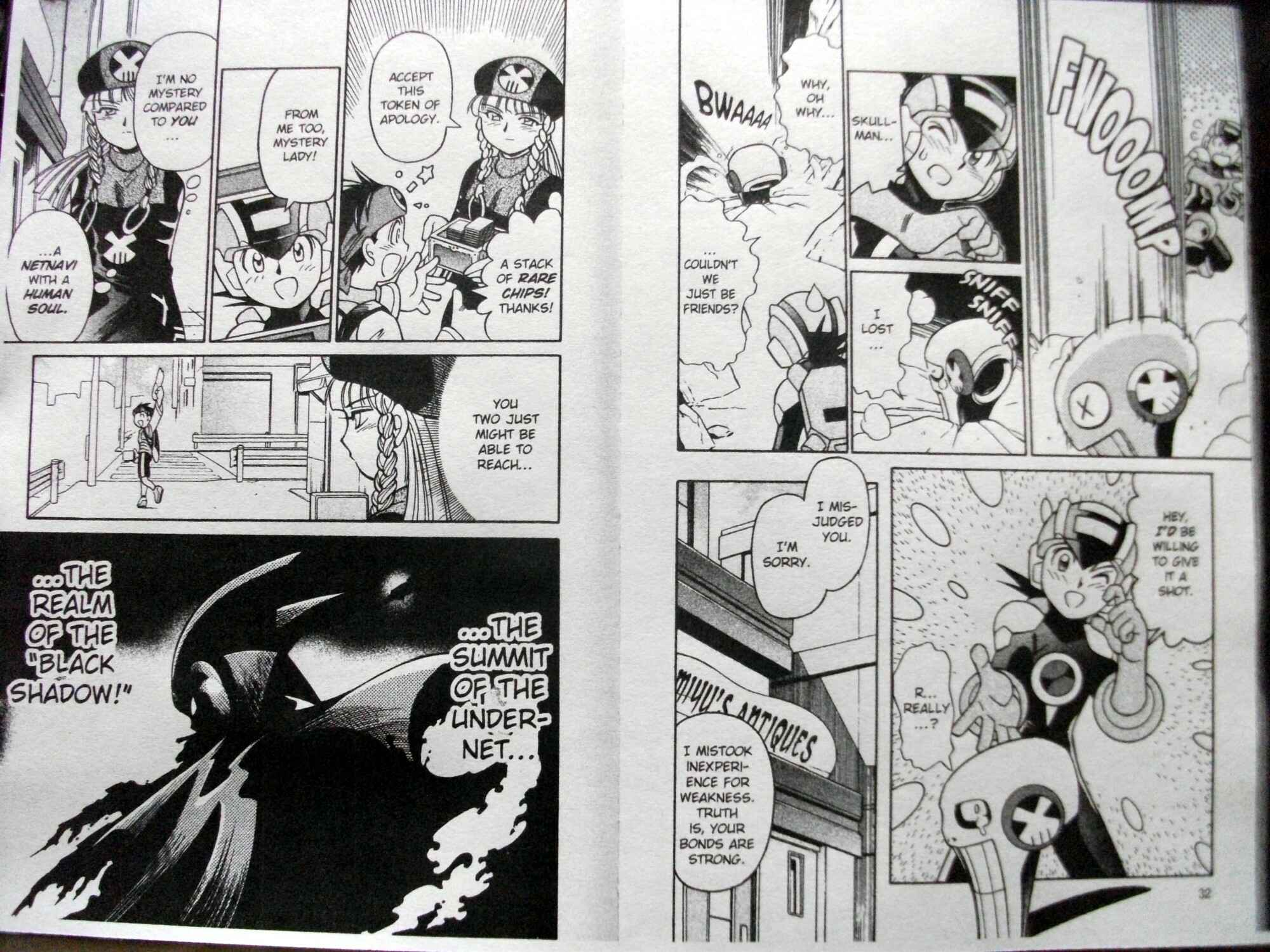 Page 15 Chapter 12 Mega Man Battle Network