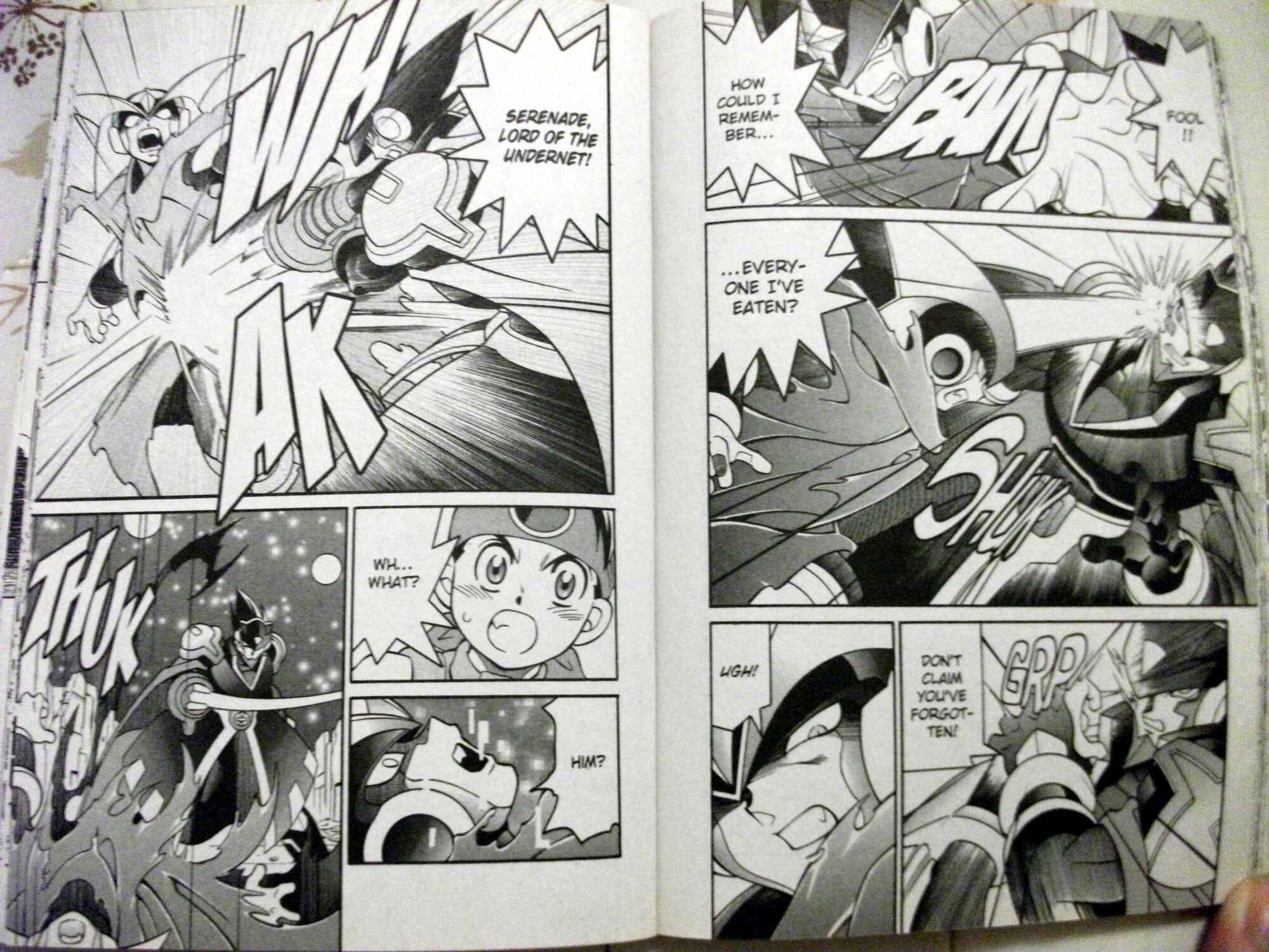 Page 10 Chapter 52 Mega Man Battle Network