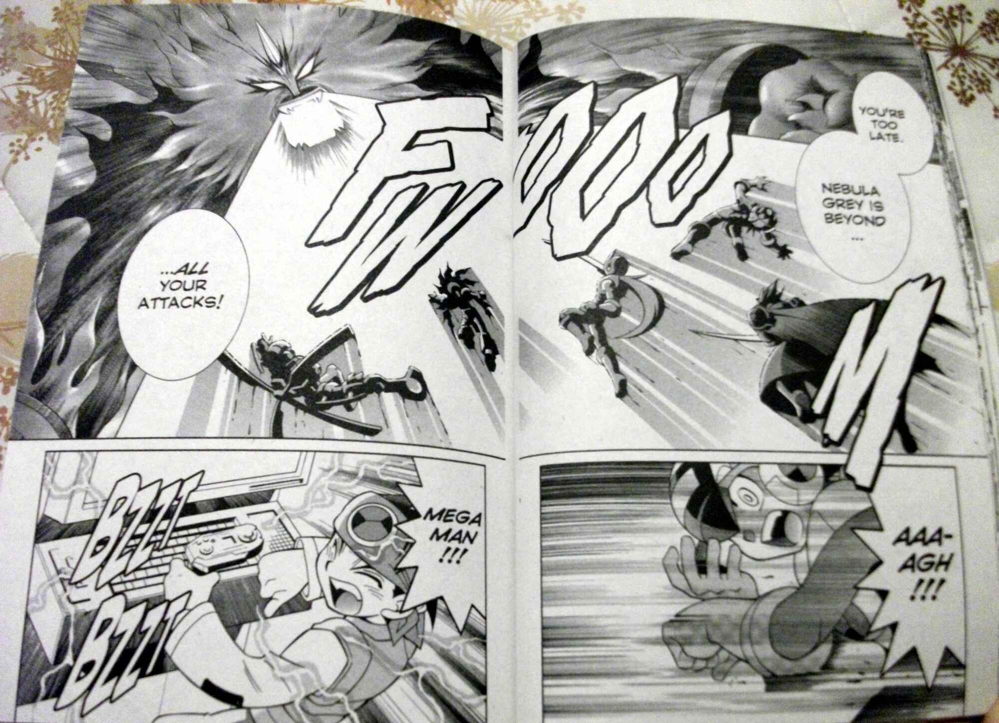 Page 13 Chapter 56 Mega Man Battle Network