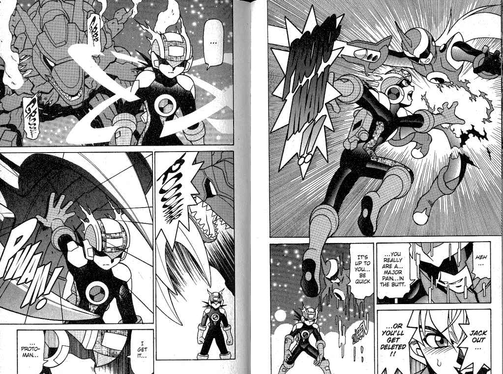 Page 15 Chapter 22 Mega Man Battle Network