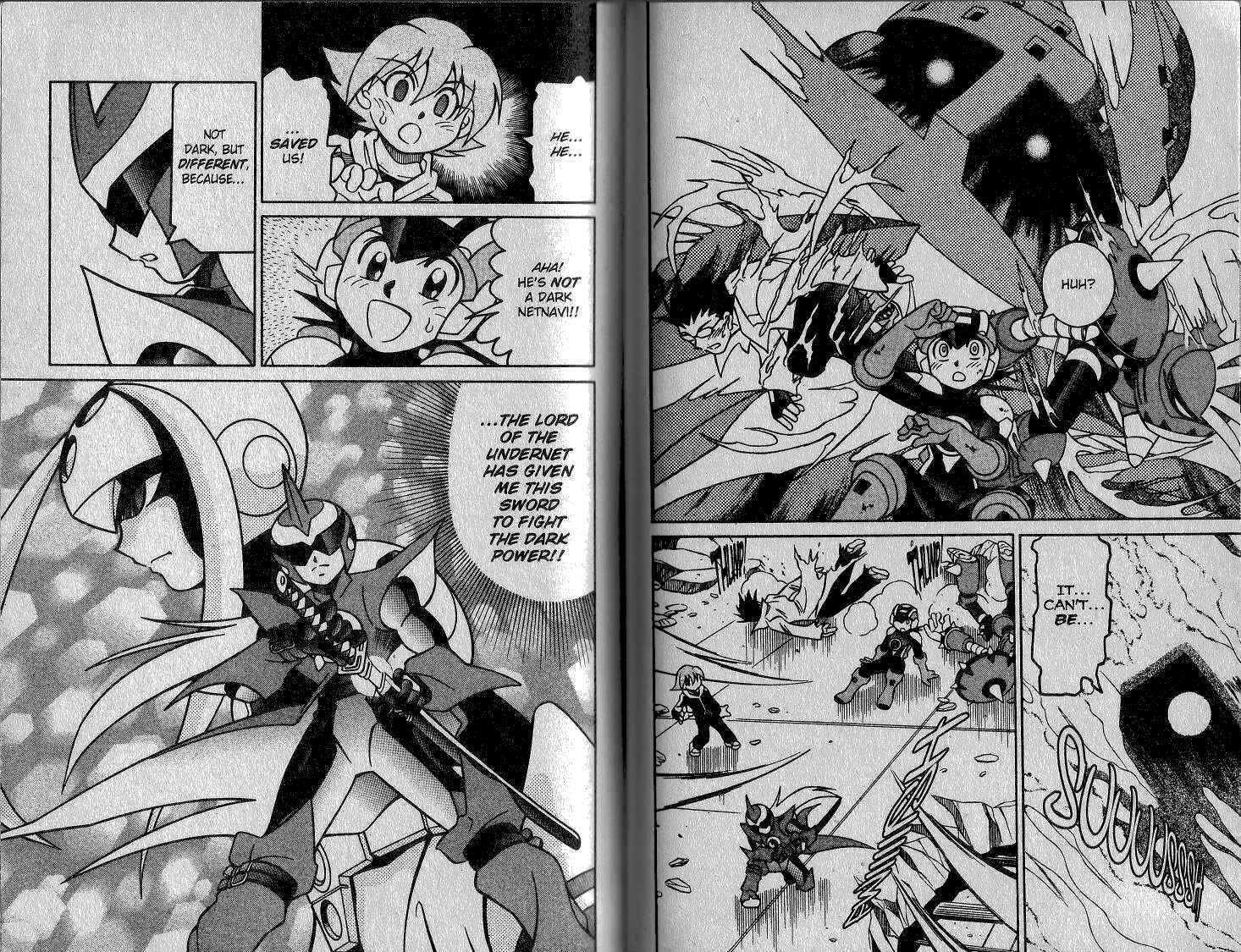 Page 15 Chapter 29 Mega Man Battle Network