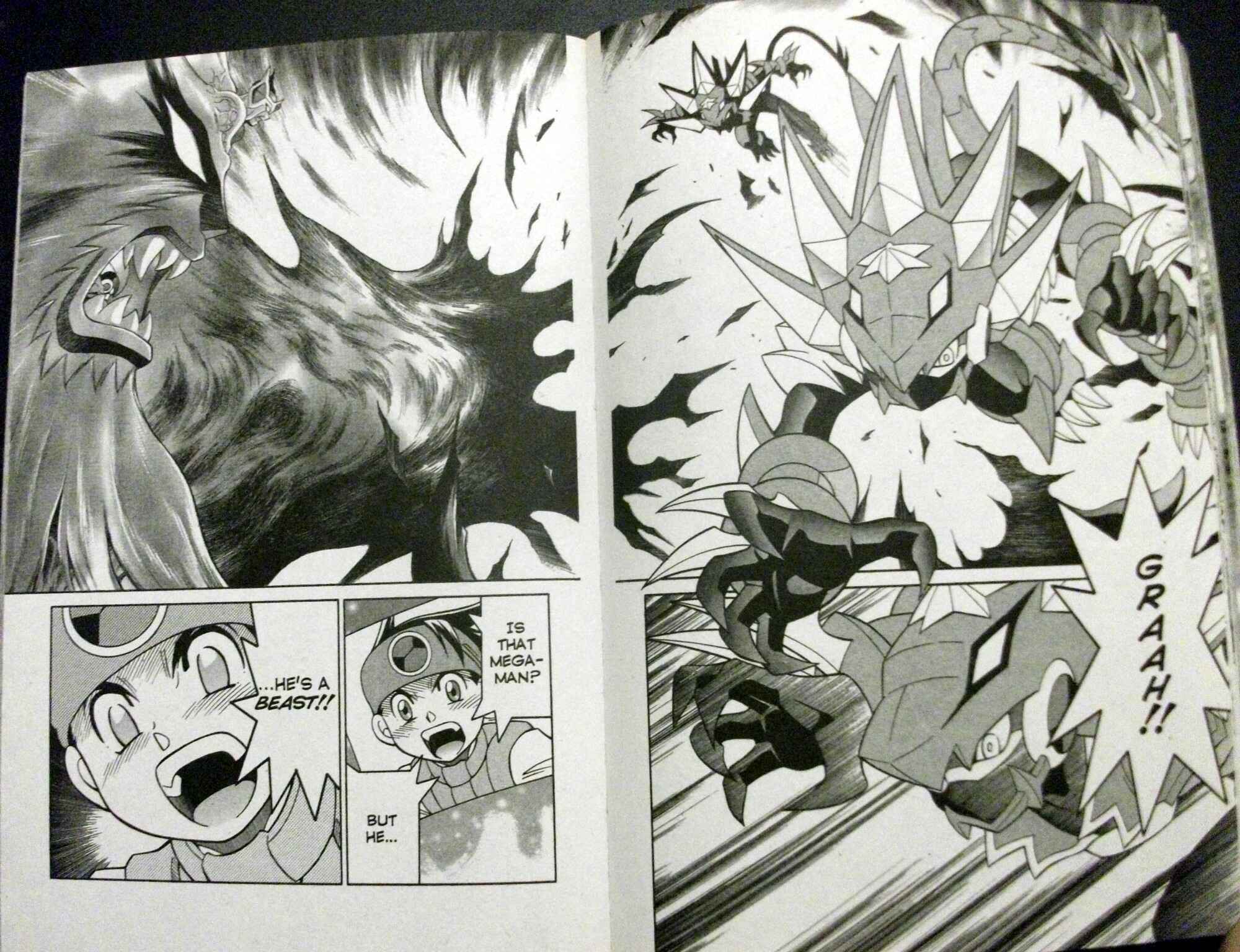 Page 10 Chapter 59 Mega Man Battle Network