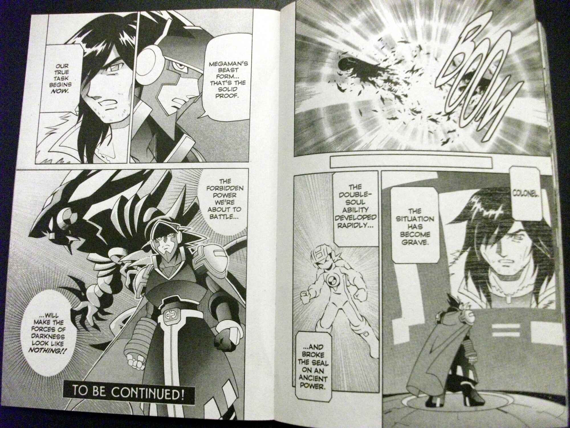 Page 15 Chapter 59 Mega Man Battle Network