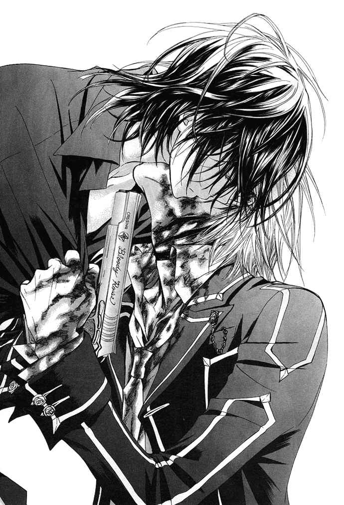 Page 45 Chapter 30 Vampire Knight