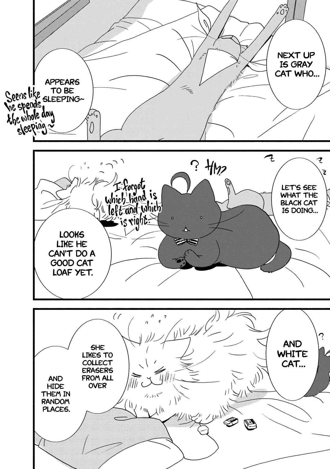 Page 3 Chapter 21.5 Coffee & Cat