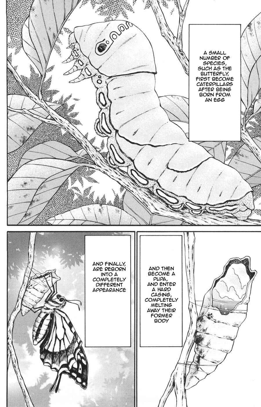 Page 2 Chapter 20 C.M.B.