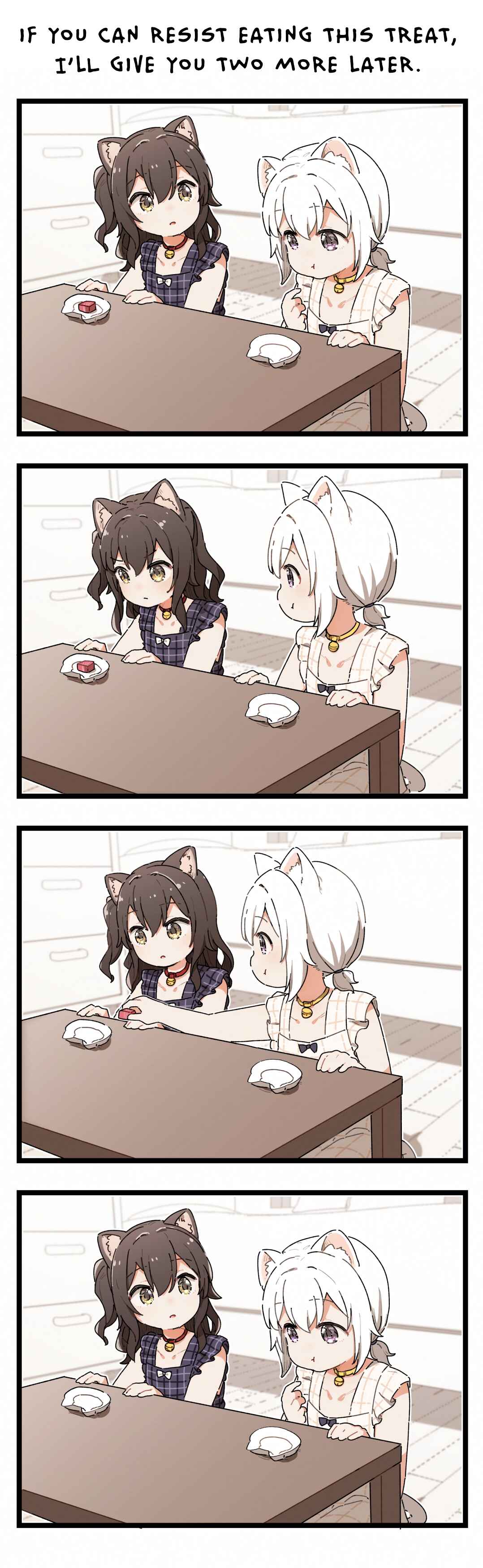Page 1 Chapter 8 Shiro Kuro Neko