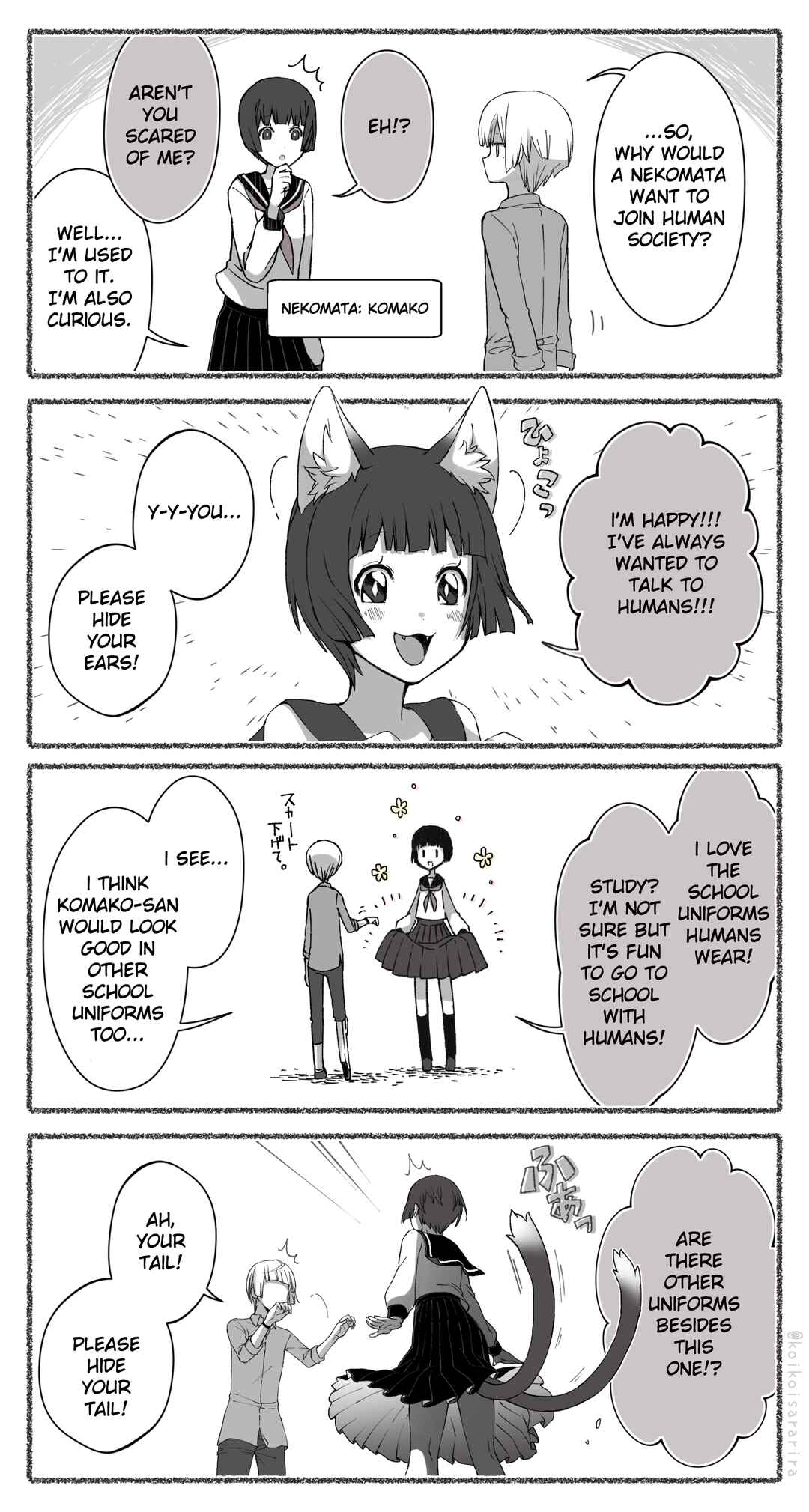 Page 6 Chapter 1 Fox Window