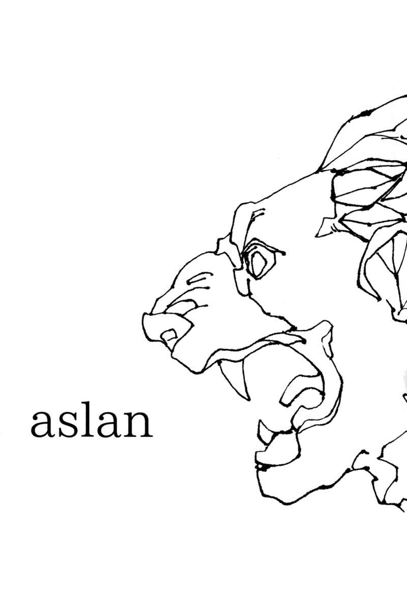 Page 2 Chapter Unknown_38b6 Aslan