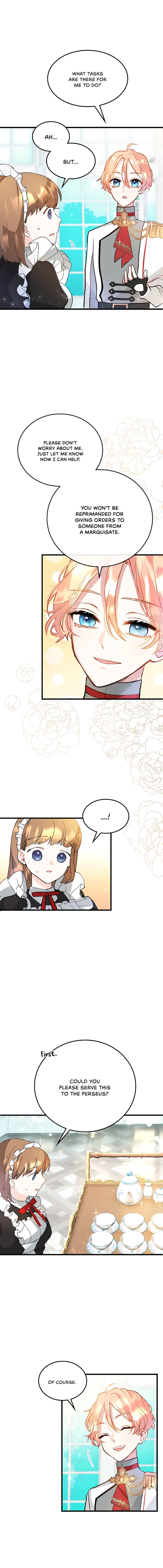 Page 7 Chapter 7 The Reason for the Twin Lady’s Disguise