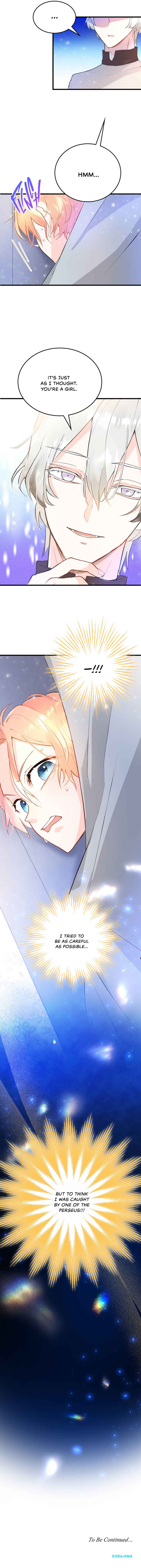 Page 15 Chapter 5 The Reason for the Twin Lady’s Disguise