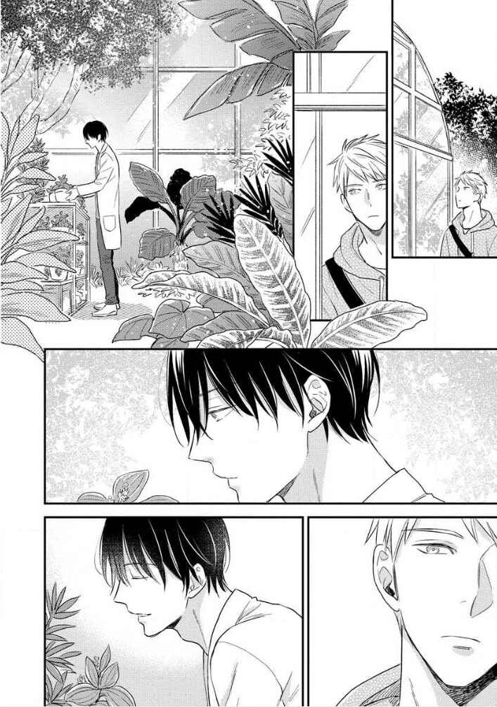 Page 12 Chapter 4 Hello, Green Days