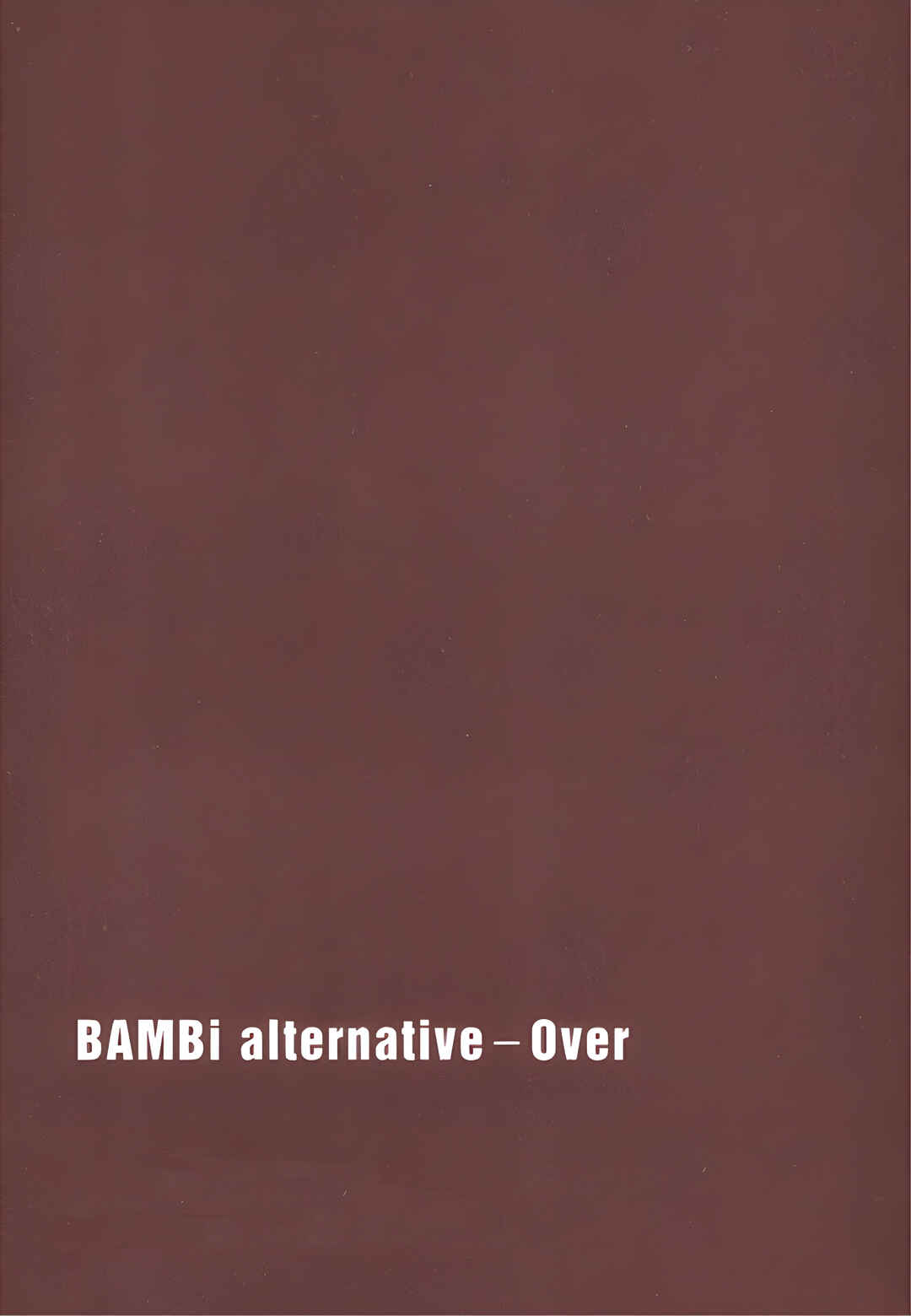 Page 26 Chapter 7 BAMBi Zero Alternative