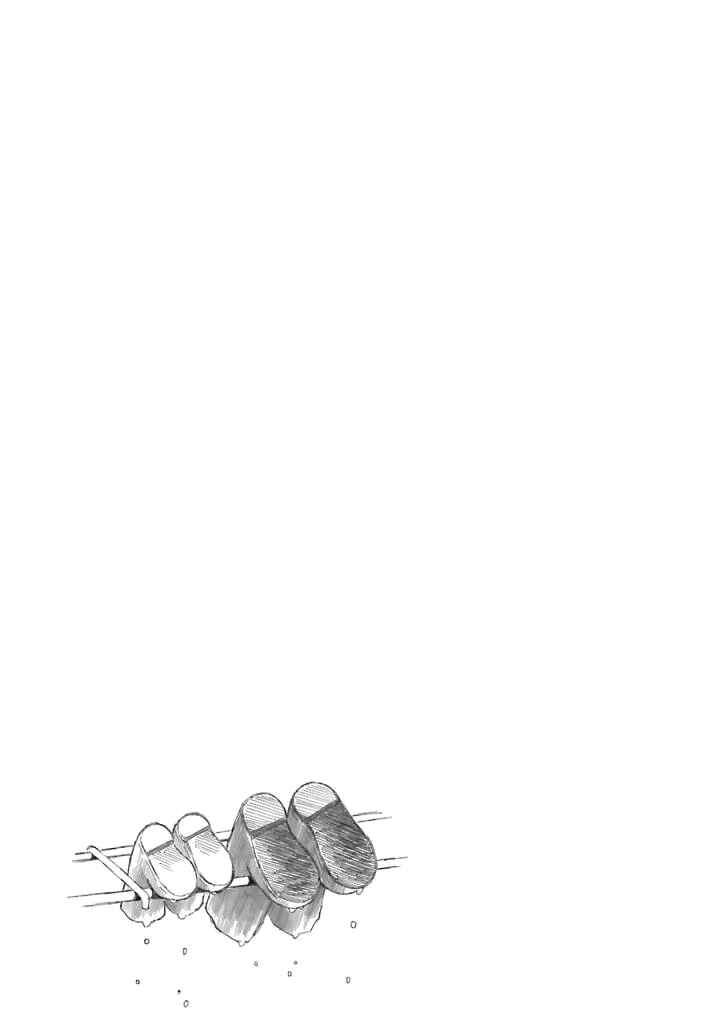 Page 52 Chapter 5 Natsuyasumi no Tomo