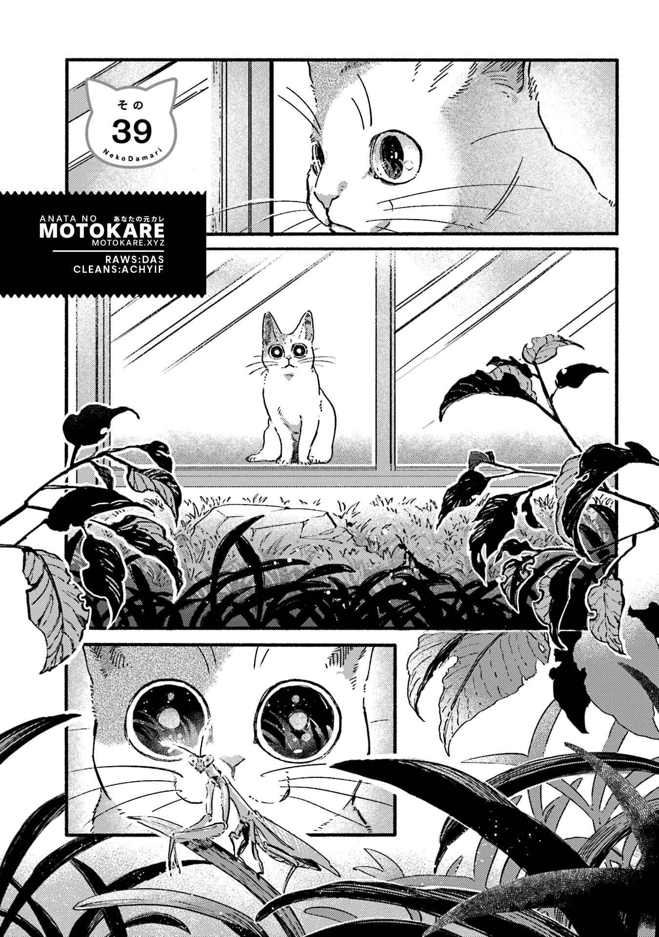 Page 1 Chapter 39 NekoDamari