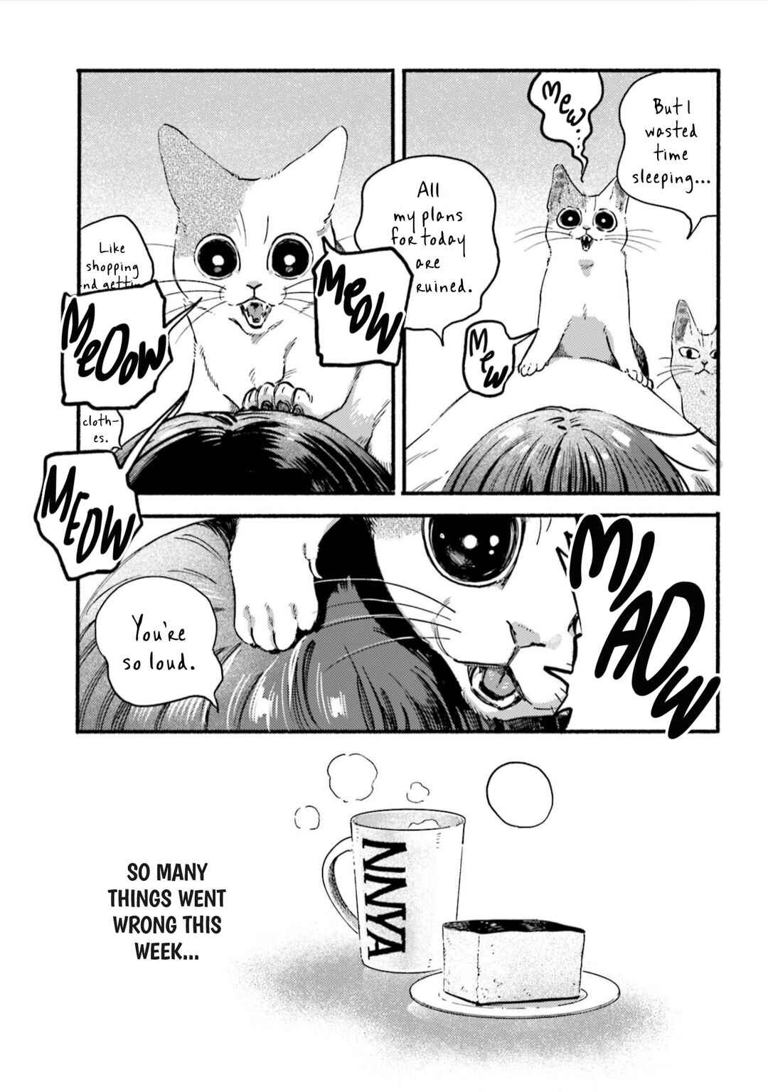 Page 6 Chapter 40 NekoDamari