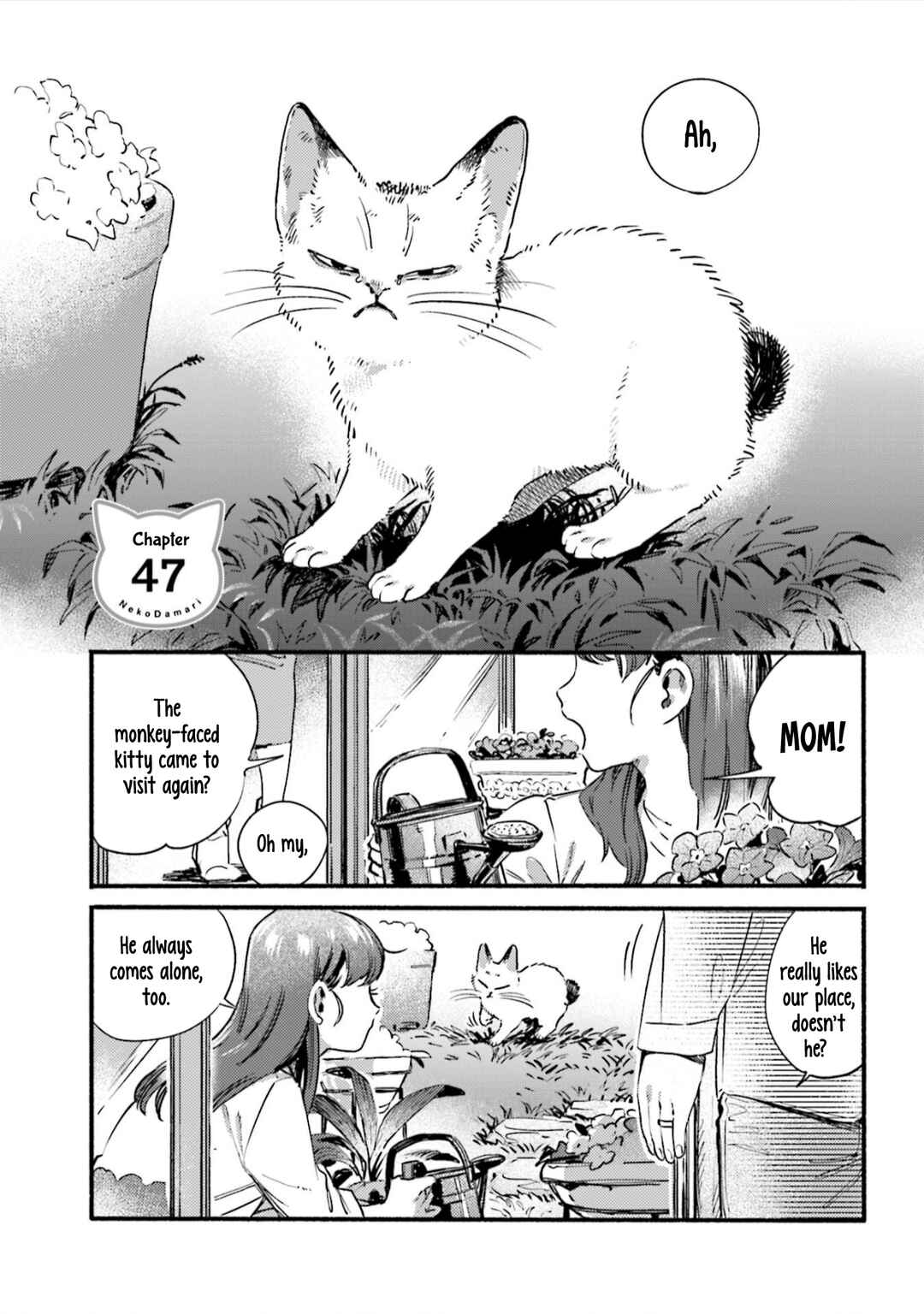 Page 1 Chapter 47 NekoDamari
