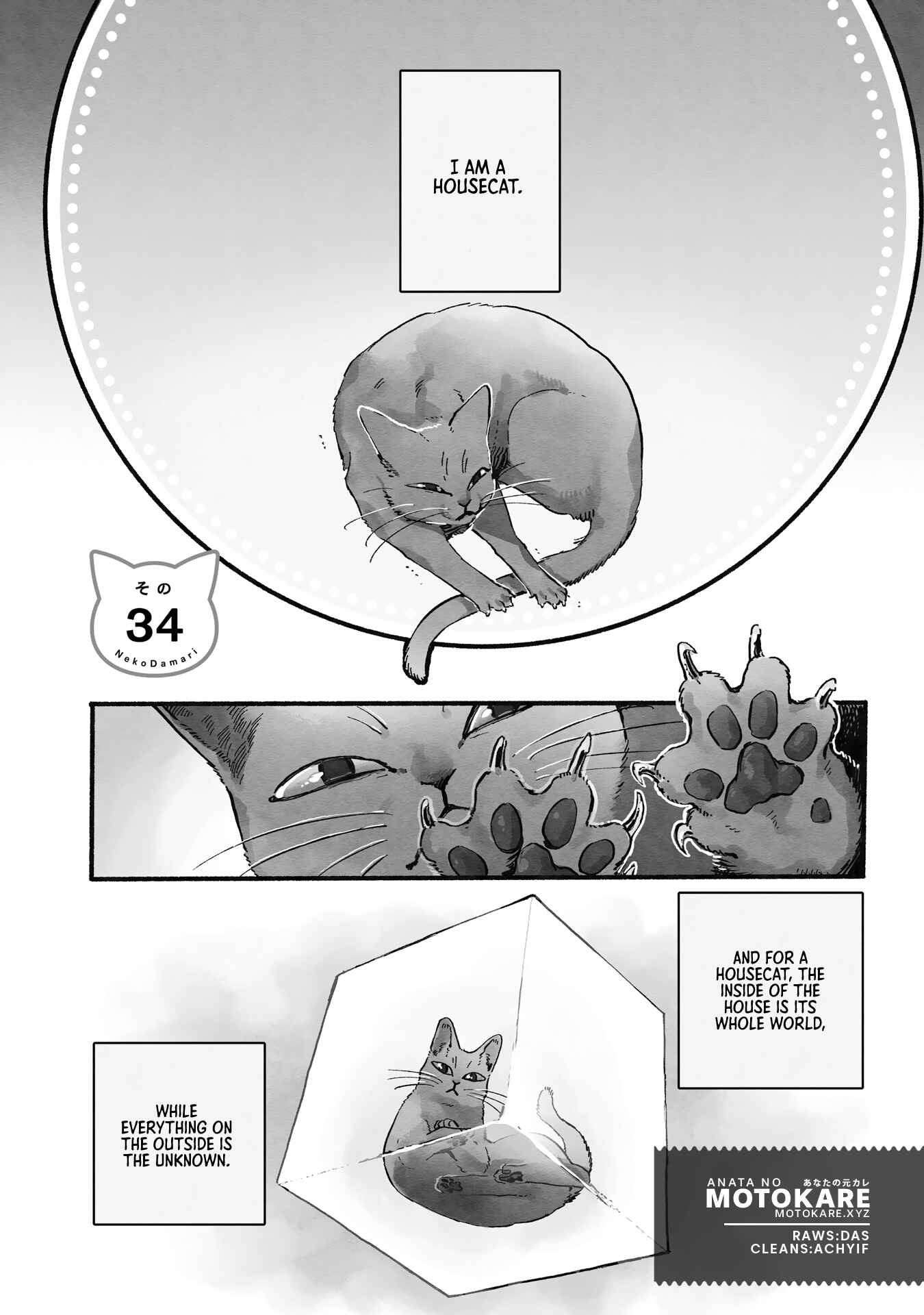 Page 1 Chapter 34 NekoDamari
