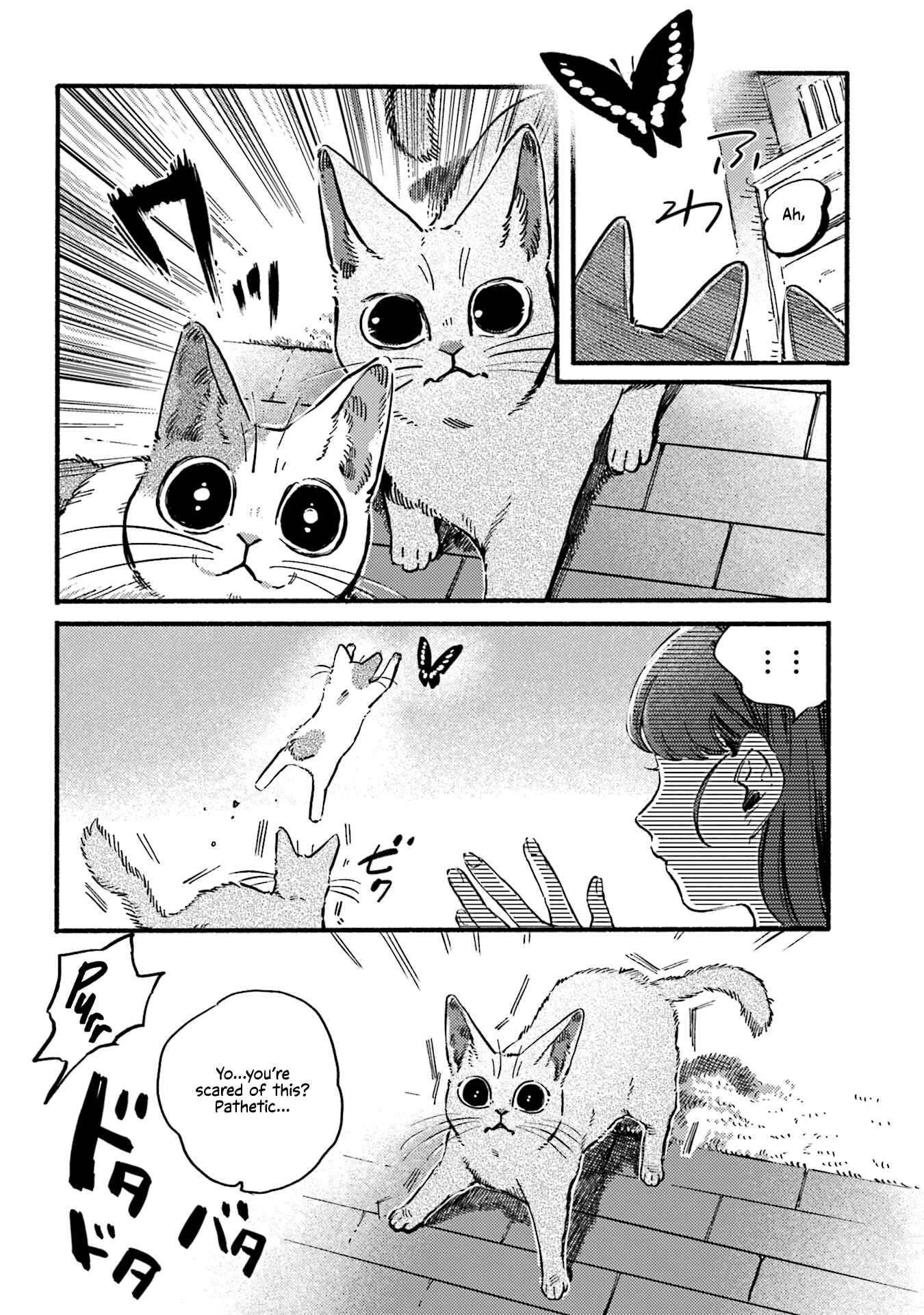 Page 6 Chapter 34 NekoDamari
