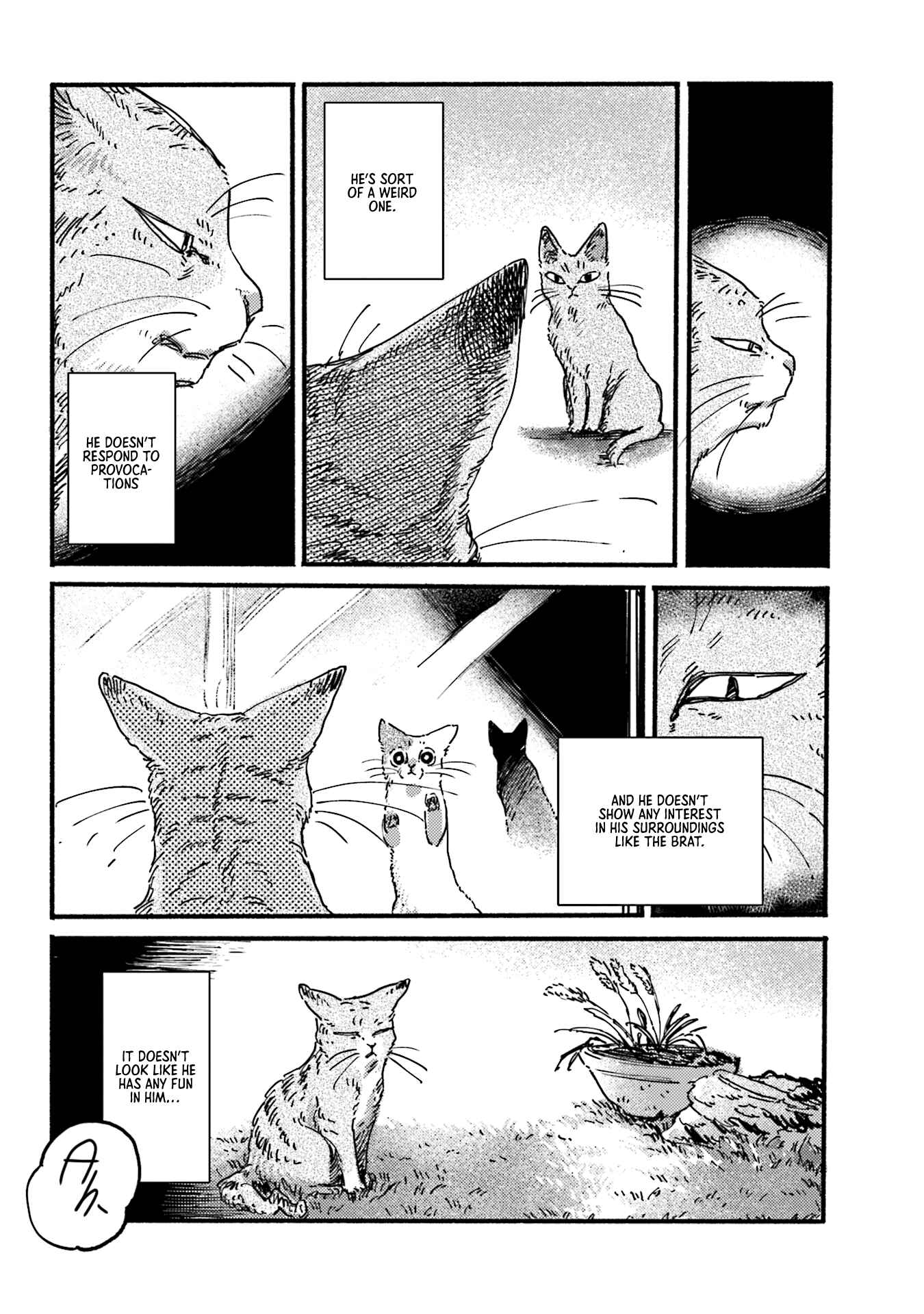 Page 6 Chapter 6 NekoDamari