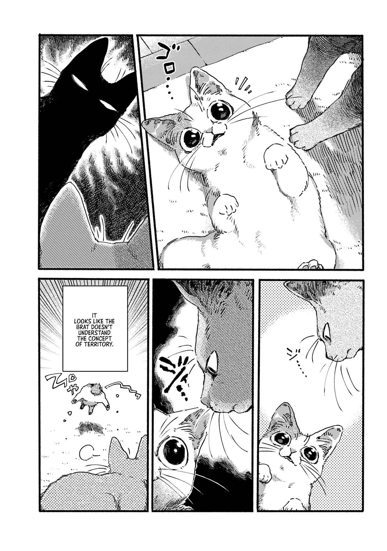 Page 3 Chapter 3 NekoDamari