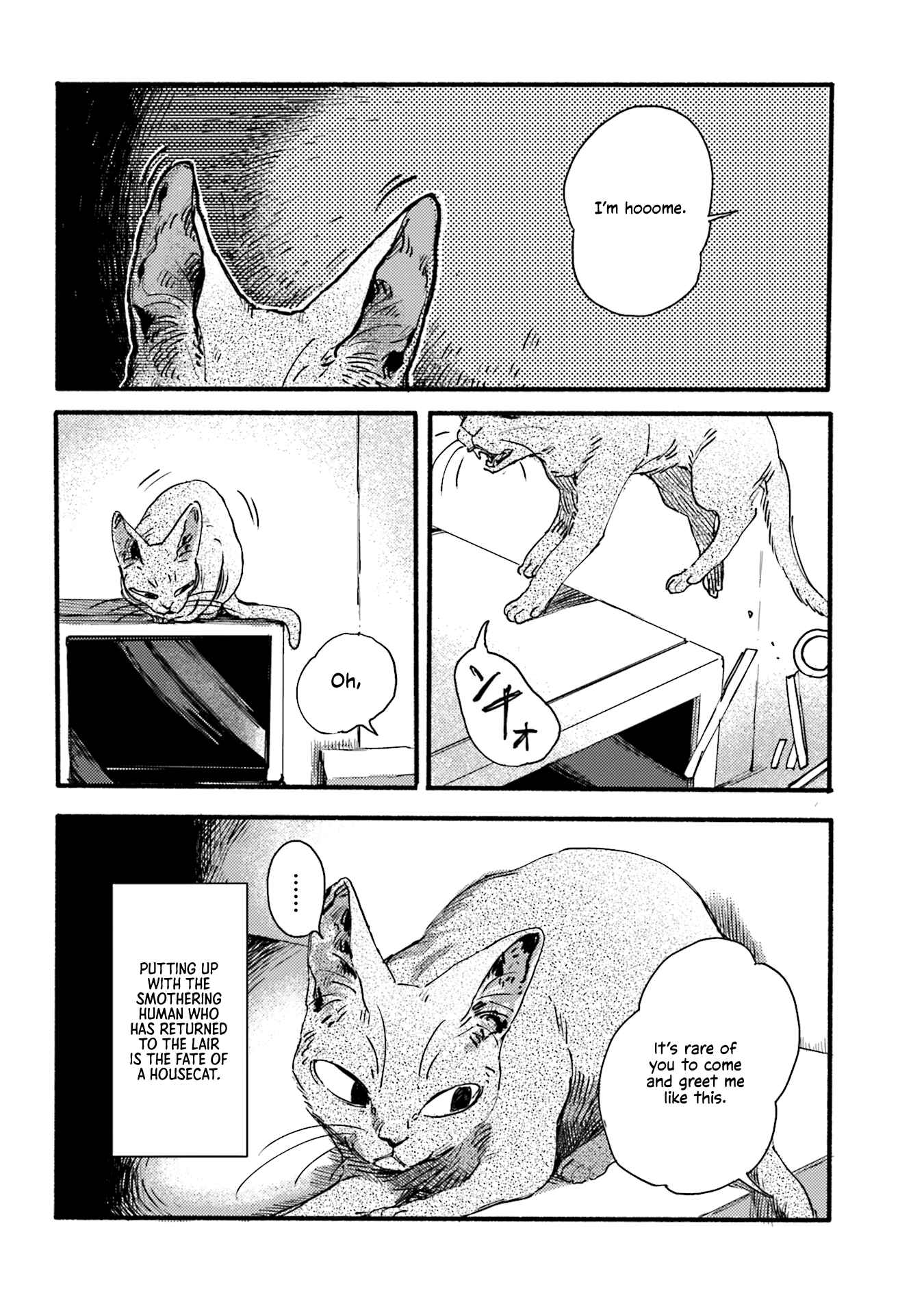 Page 6 Chapter 2 NekoDamari