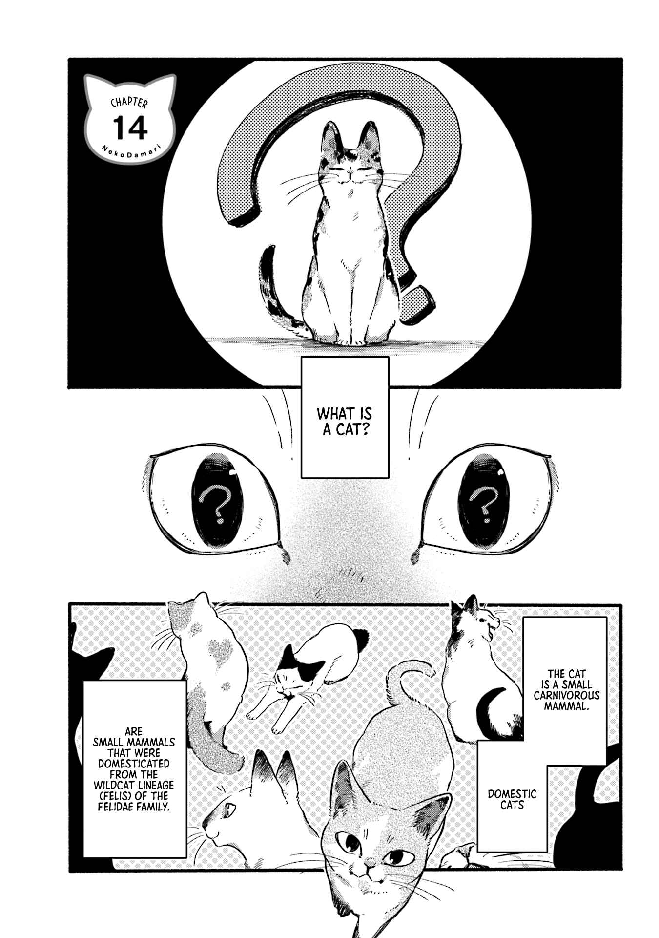 Page 1 Chapter 14 NekoDamari