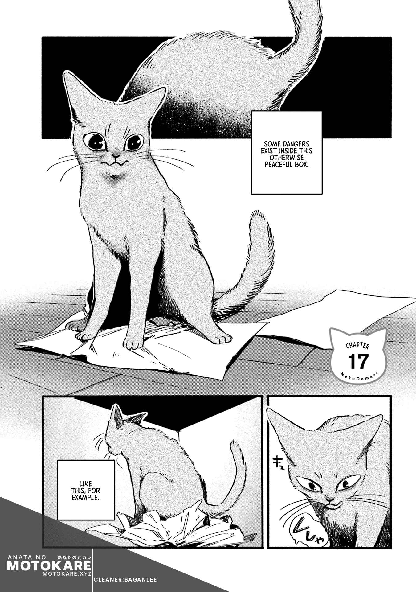 Page 1 Chapter 17 NekoDamari