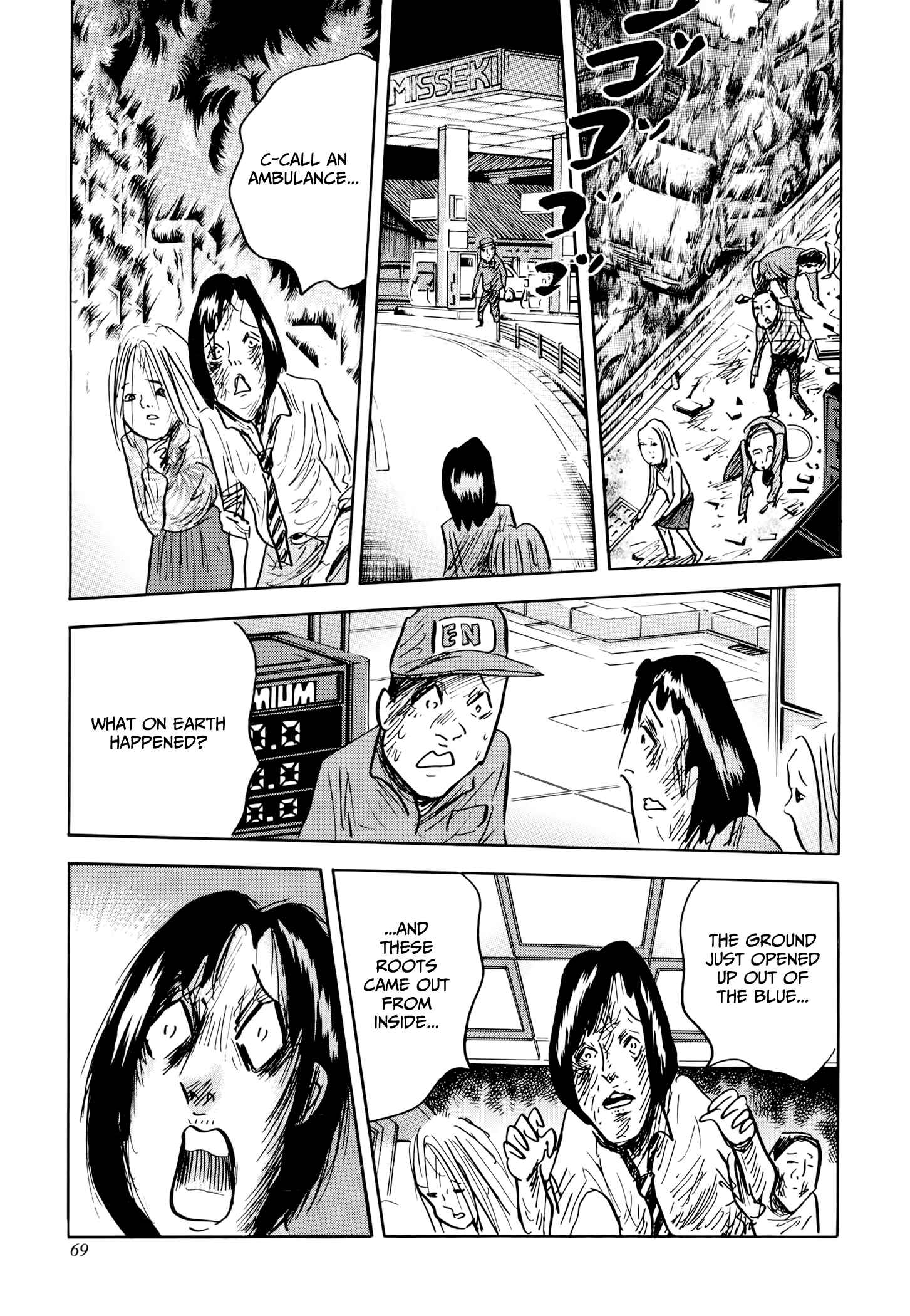 Page 11 Chapter 2 Jacarandá