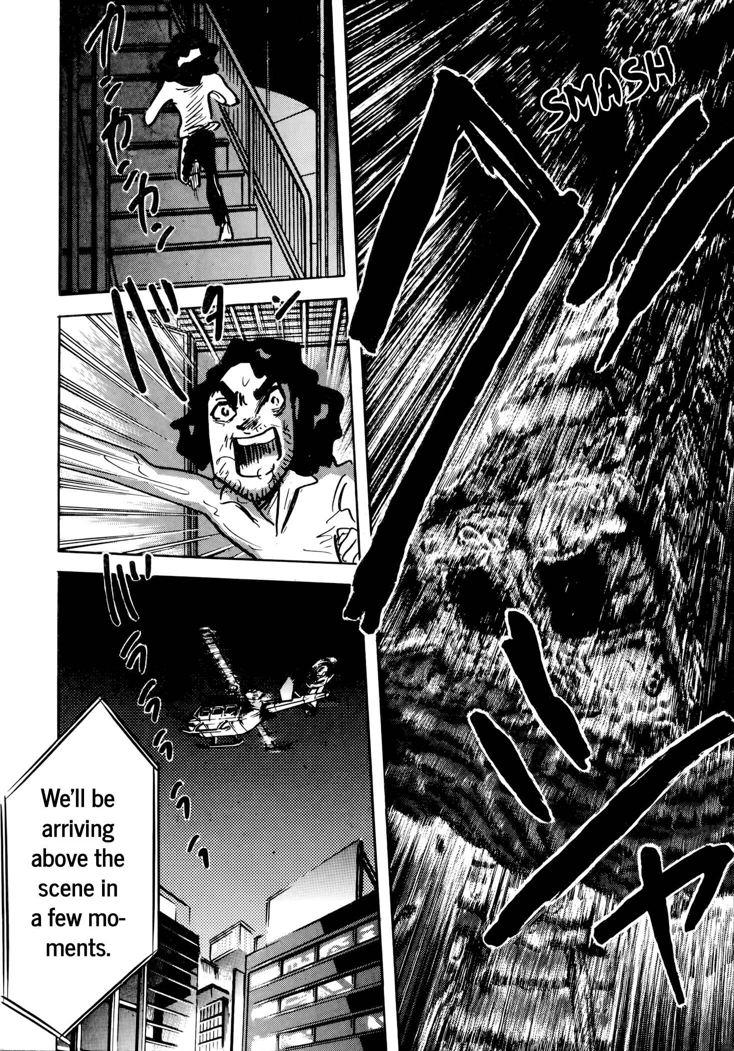 Page 20 Chapter 2 Jacarandá