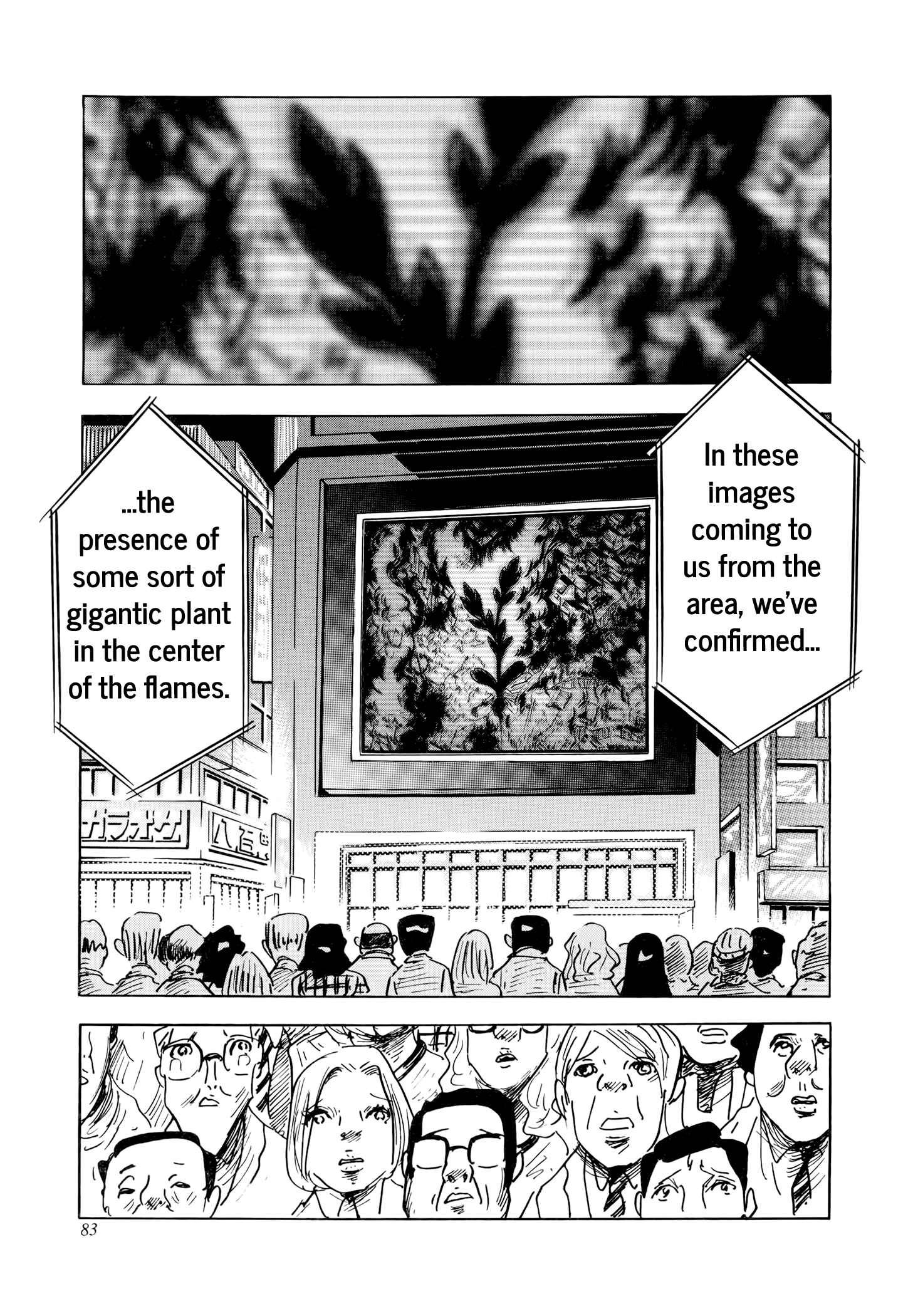 Page 24 Chapter 2 Jacarandá