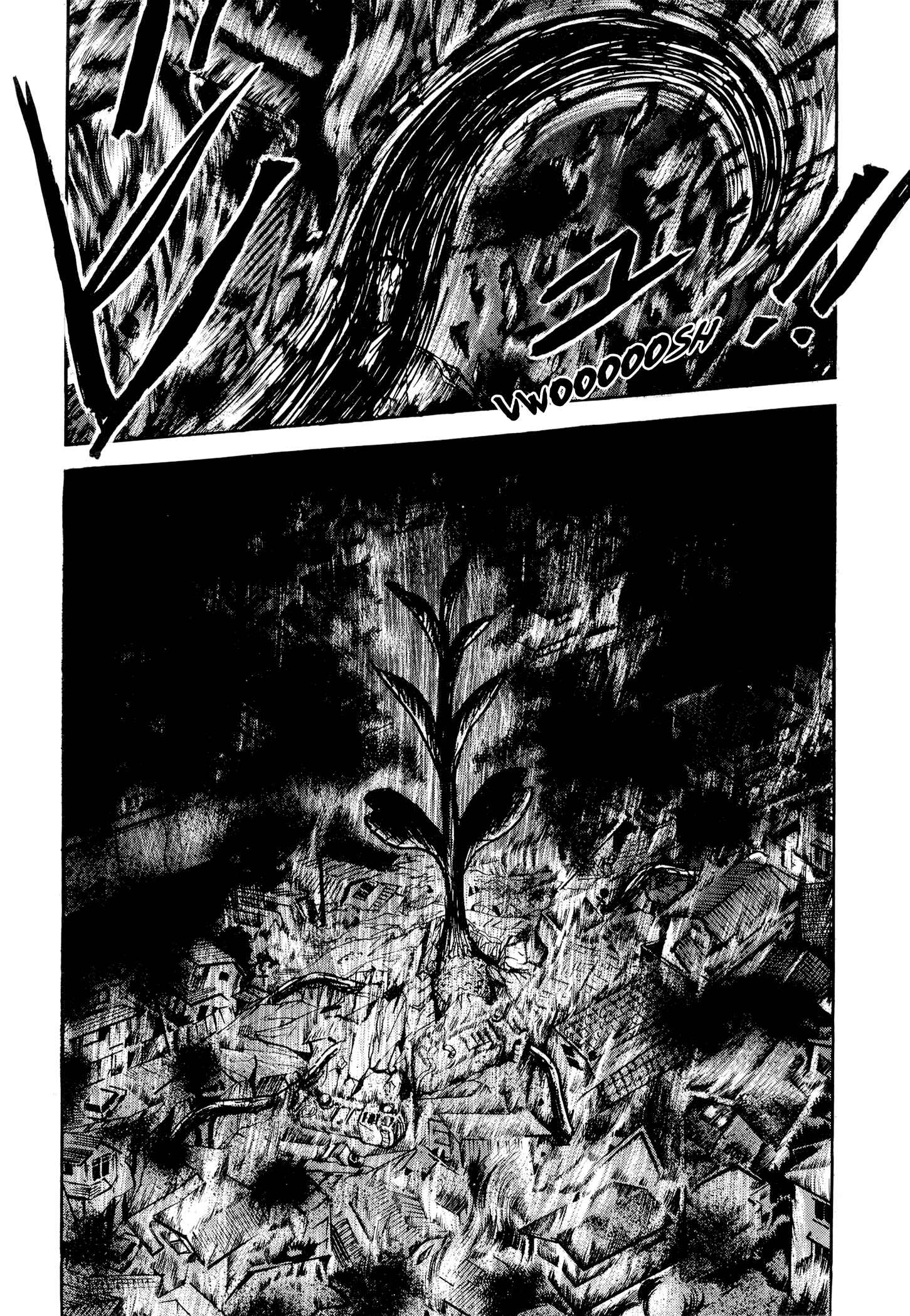 Page 5 Chapter 2 Jacarandá
