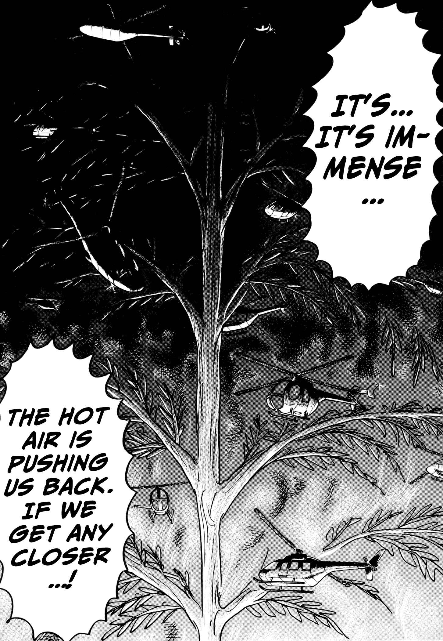 Page 54 Chapter 2 Jacarandá