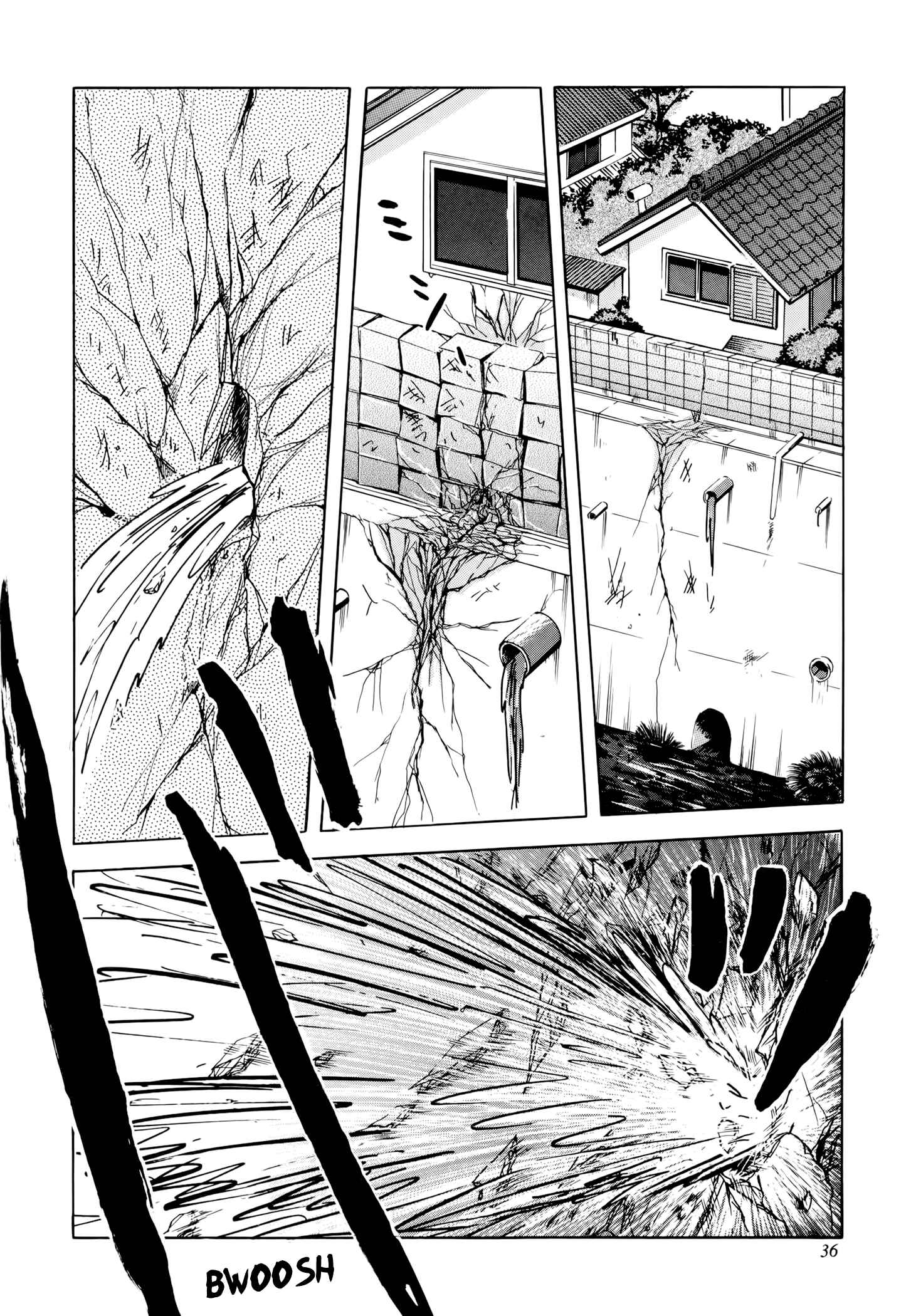 Page 38 Chapter 1 Jacarandá