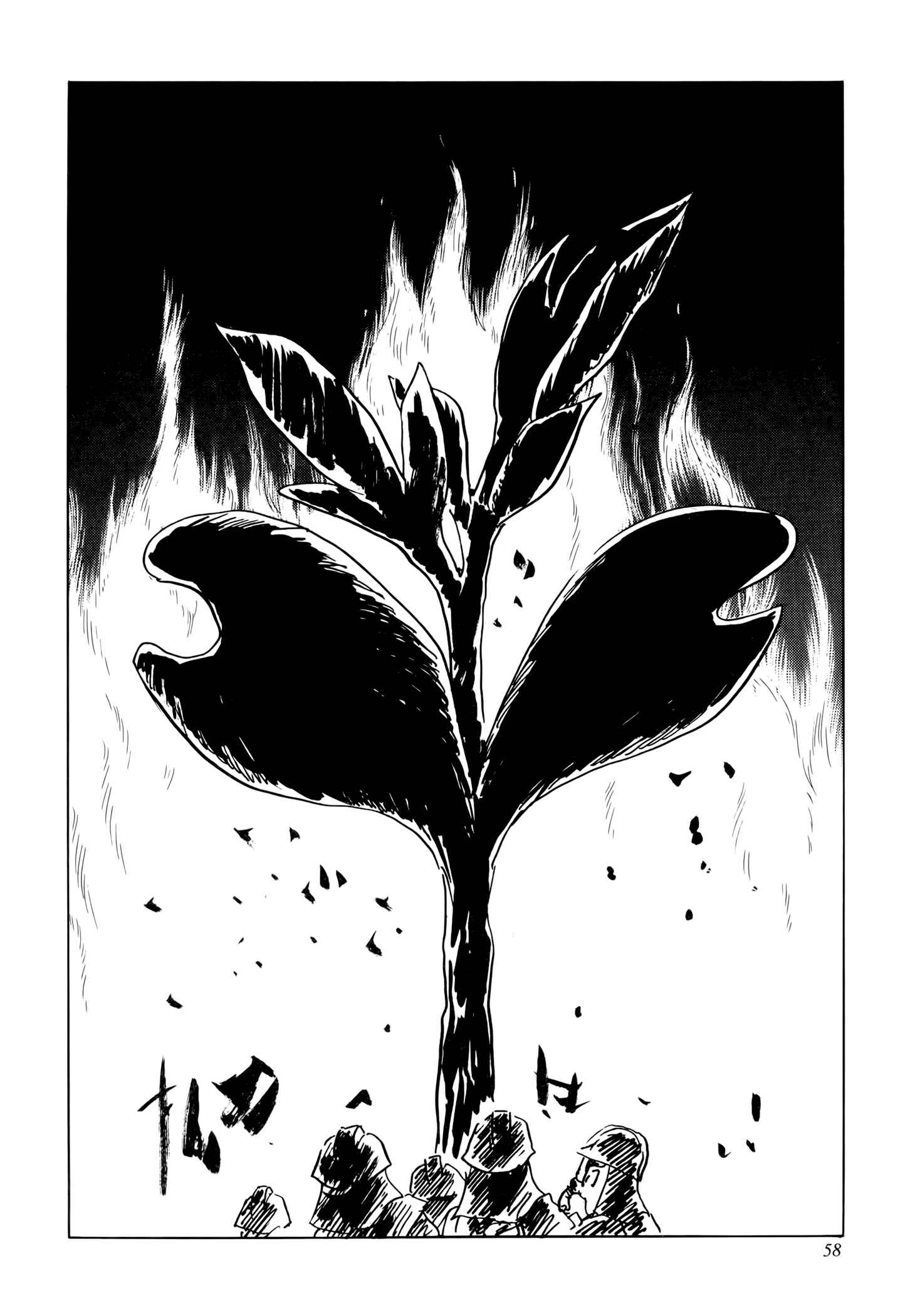 Page 59 Chapter 1 Jacarandá