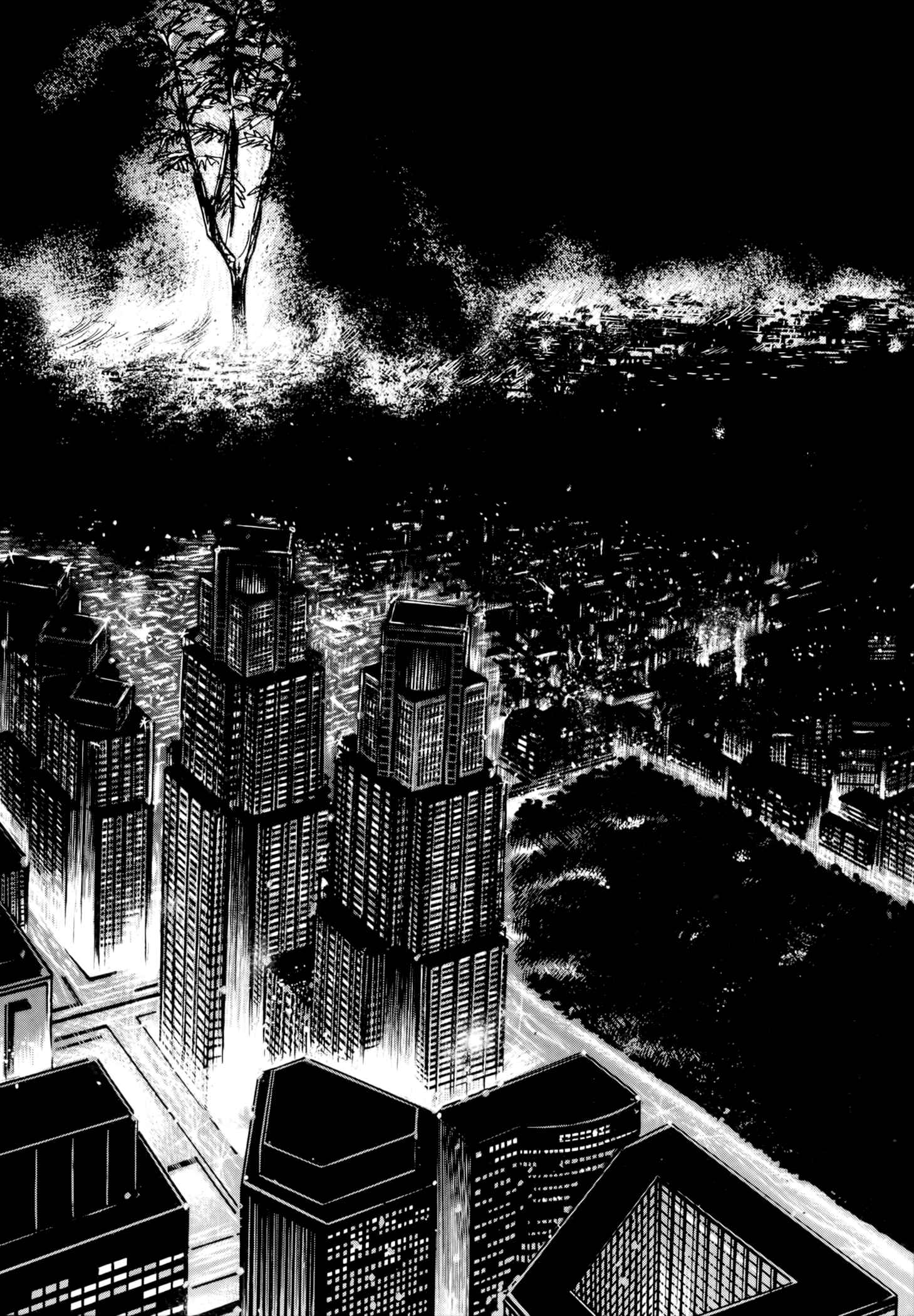 Page 15 Chapter 3 Jacarandá