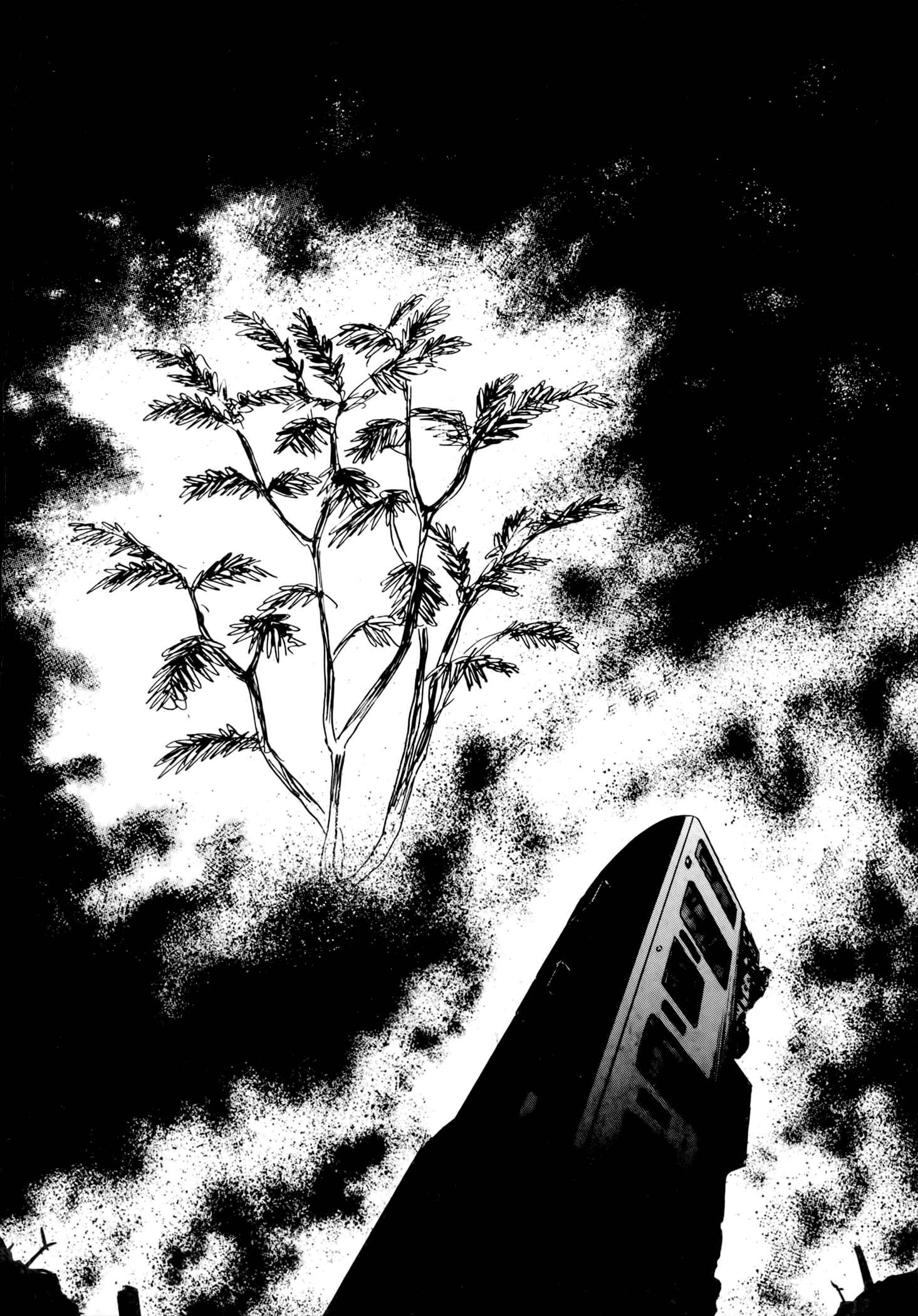 Page 29 Chapter 3 Jacarandá
