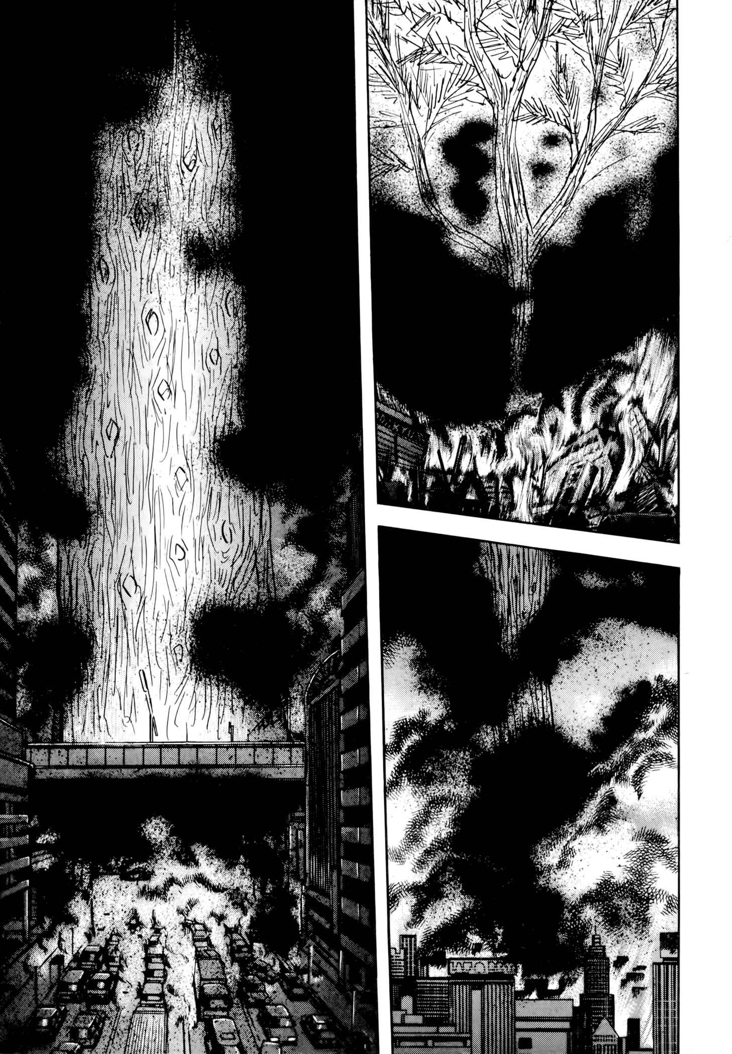 Page 30 Chapter 3 Jacarandá