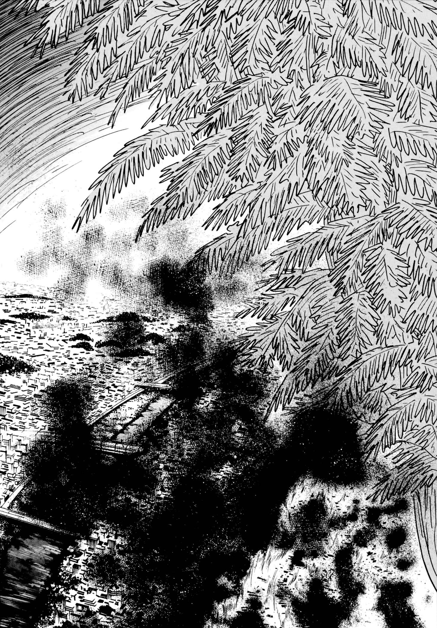 Page 22 Chapter 5 Jacarandá