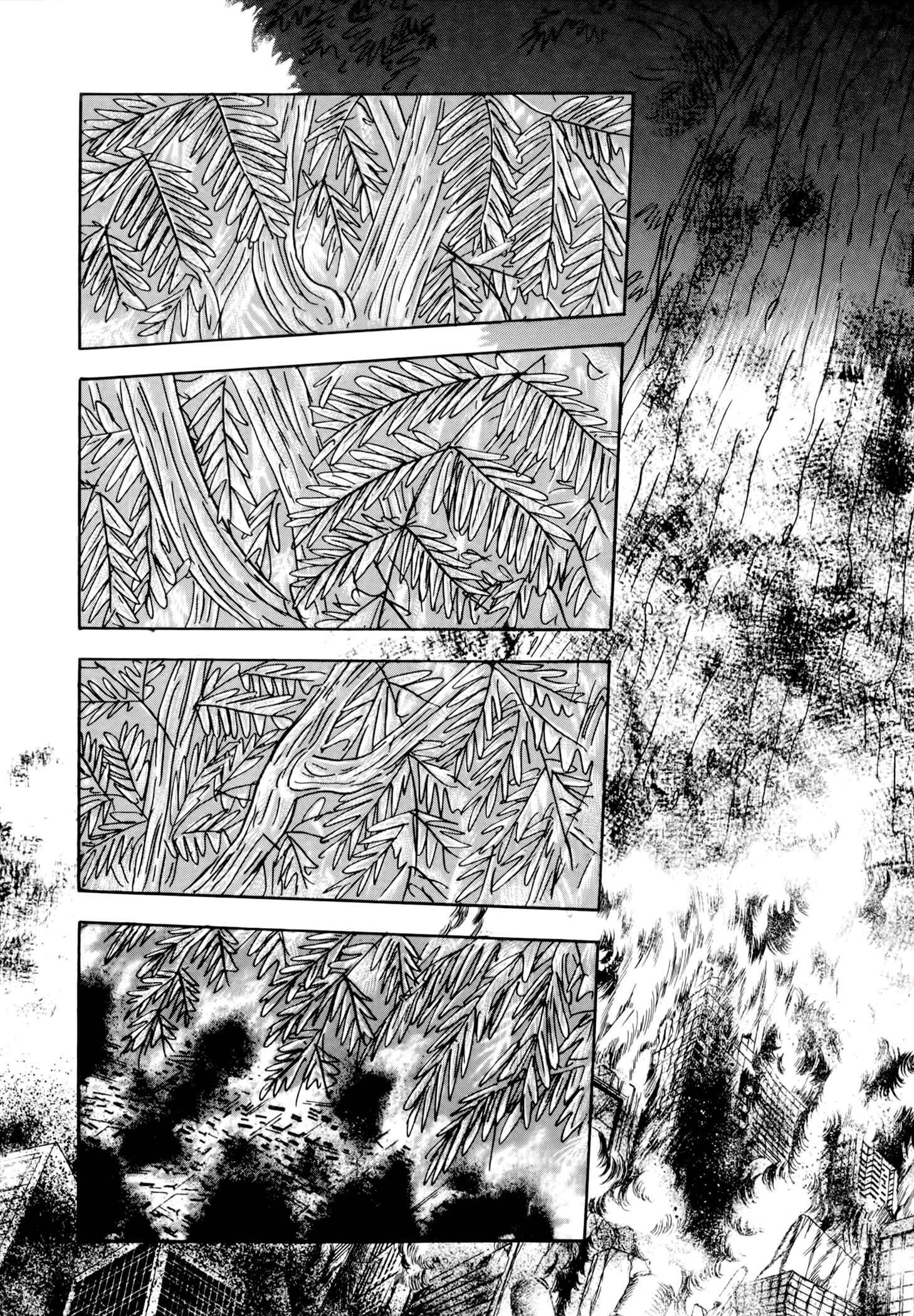 Page 24 Chapter 5 Jacarandá