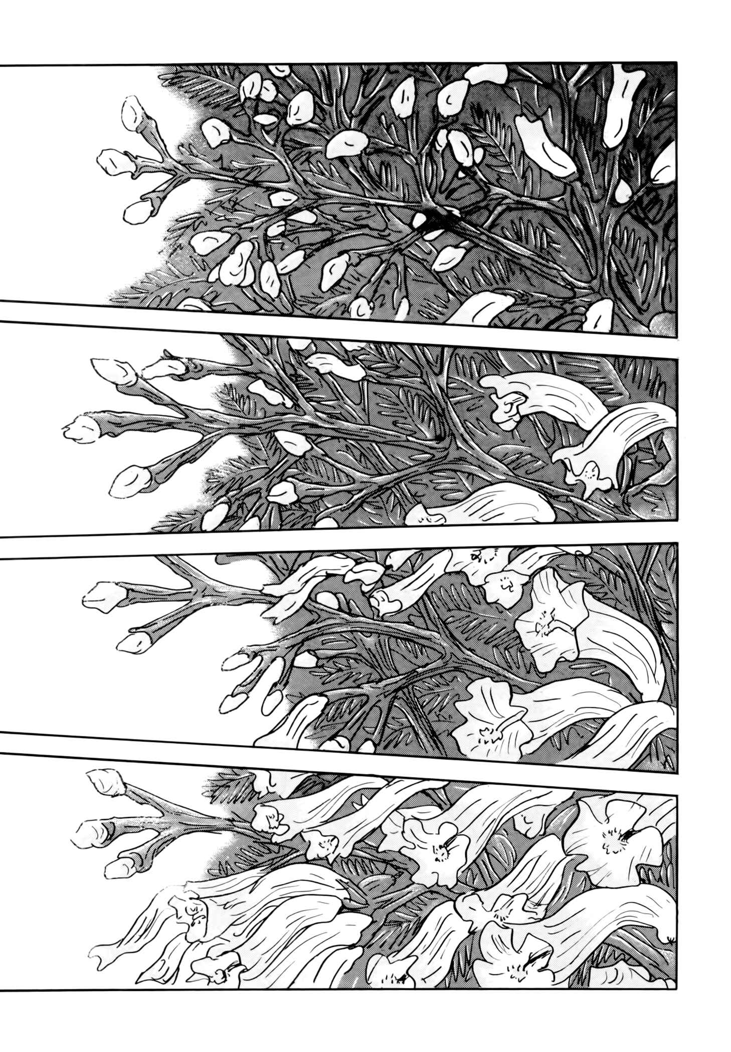 Page 39 Chapter 5 Jacarandá