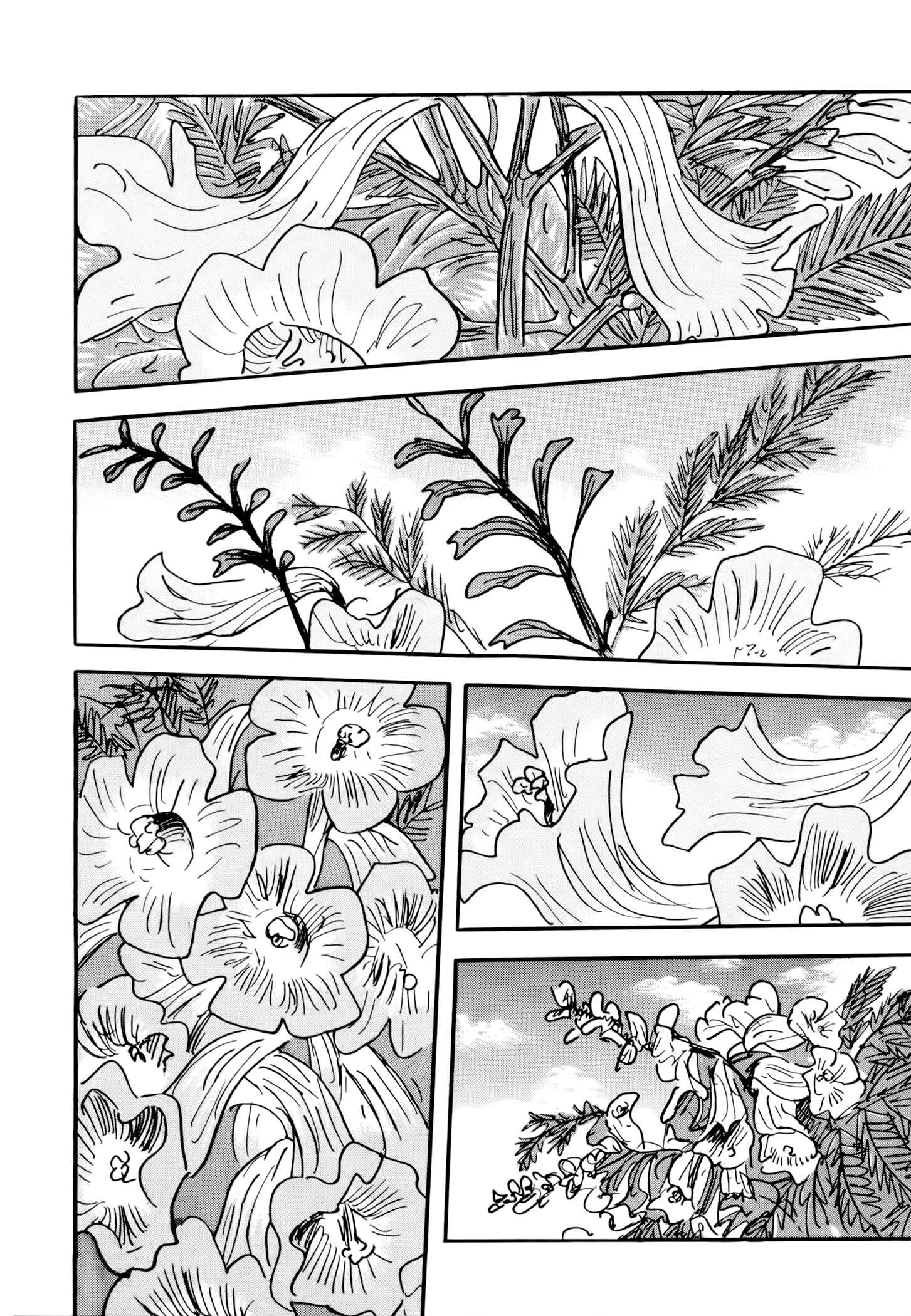 Page 40 Chapter 5 Jacarandá